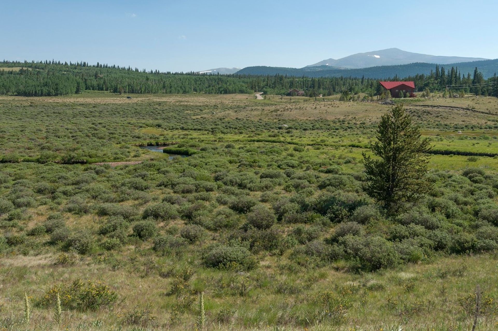 Talo sisään Alma, Colorado 11803589