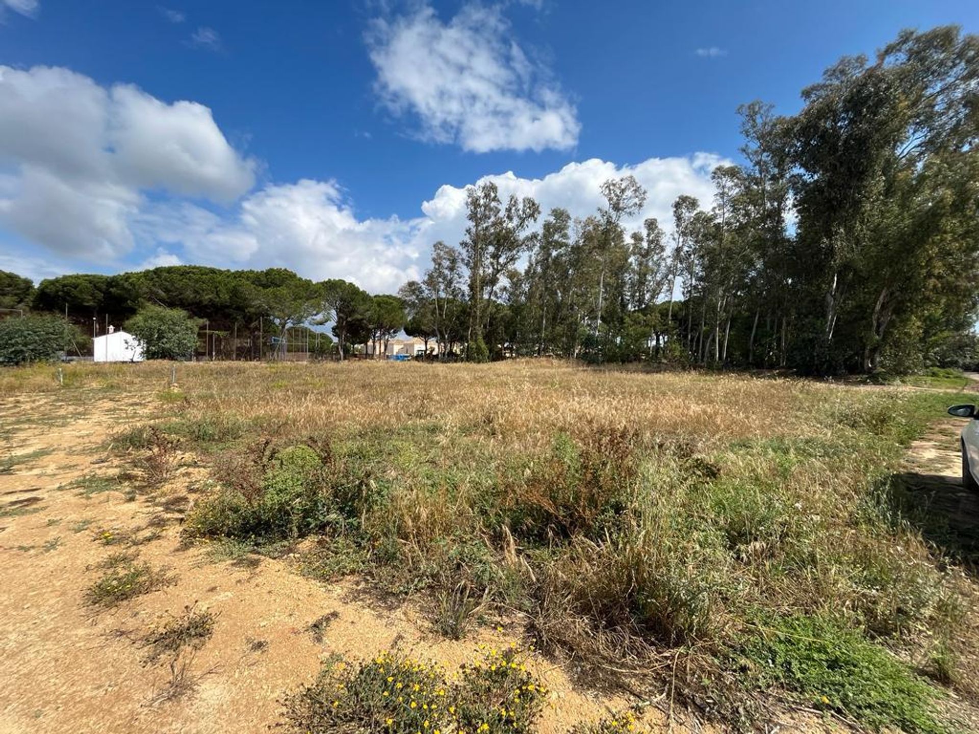 Land in Chiclana de la Frontera, Andalusië 11803595