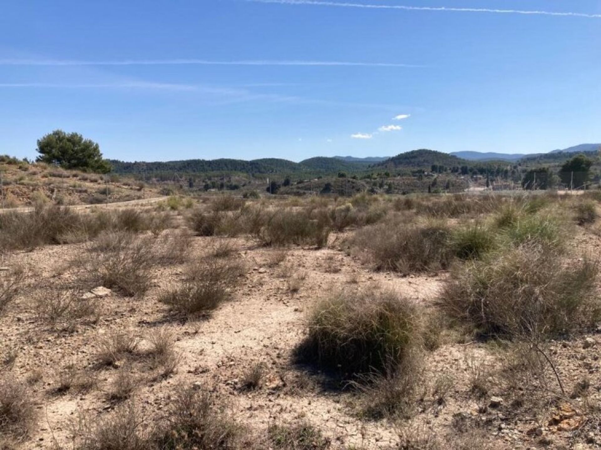 Εμπορικός σε Cañada Lentisco, Región de Murcia 11803606