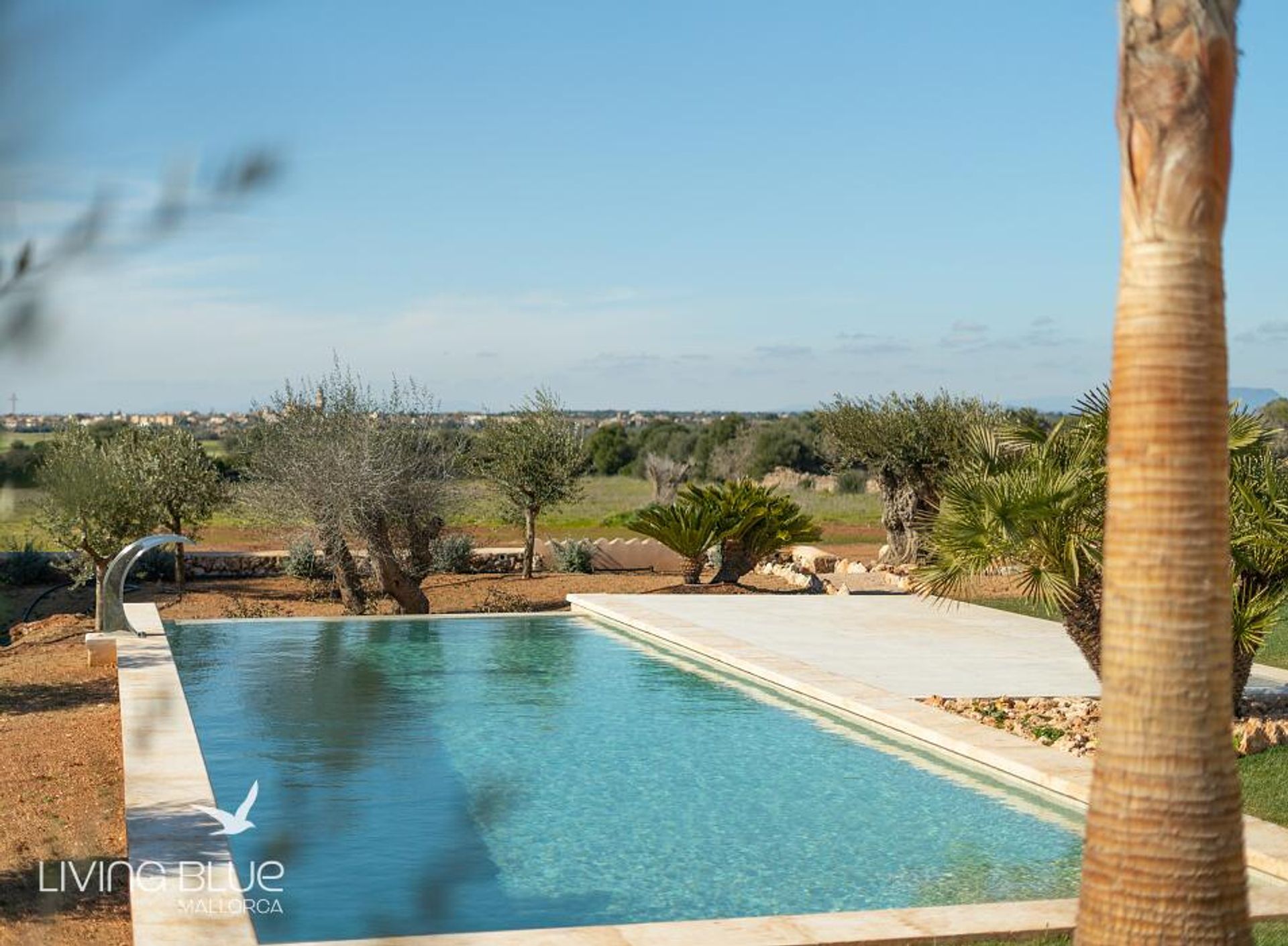 Huis in Ses Salines, Balearic Islands 11803691