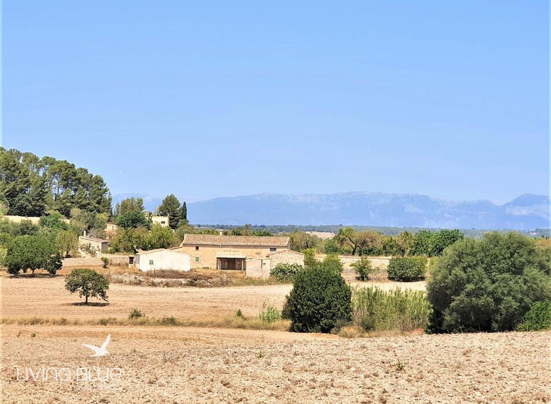 σπίτι σε Αλγαΐδα, Βαλεαρίδες Νήσοι 11803692