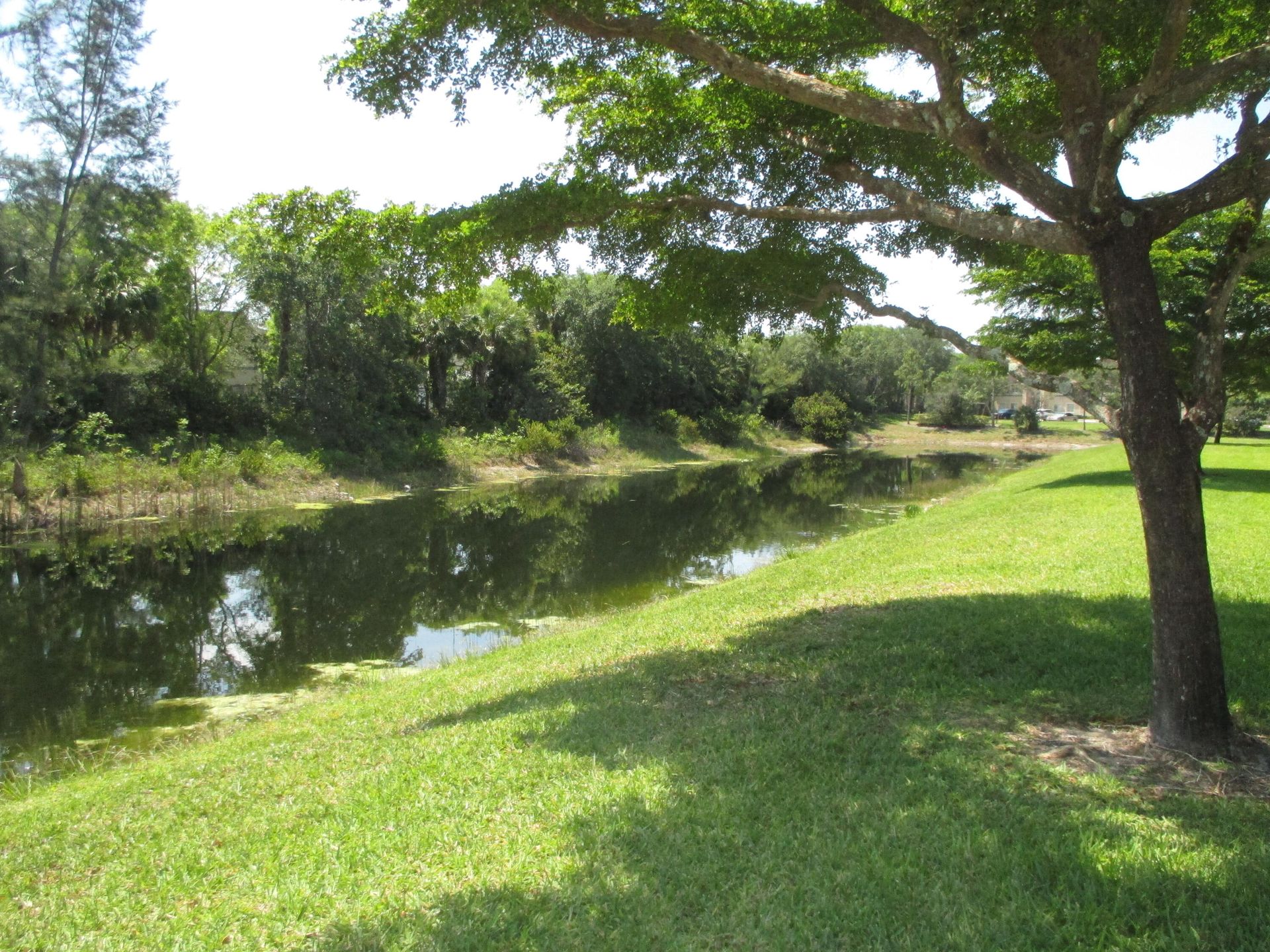 Rumah di Danau Emas, Florida 11804283