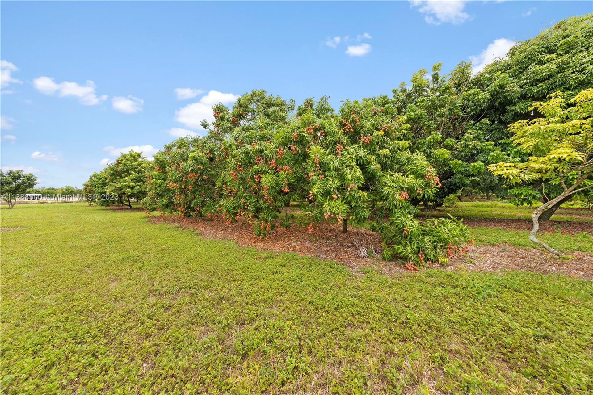 房子 在 Homestead, Florida 11804321