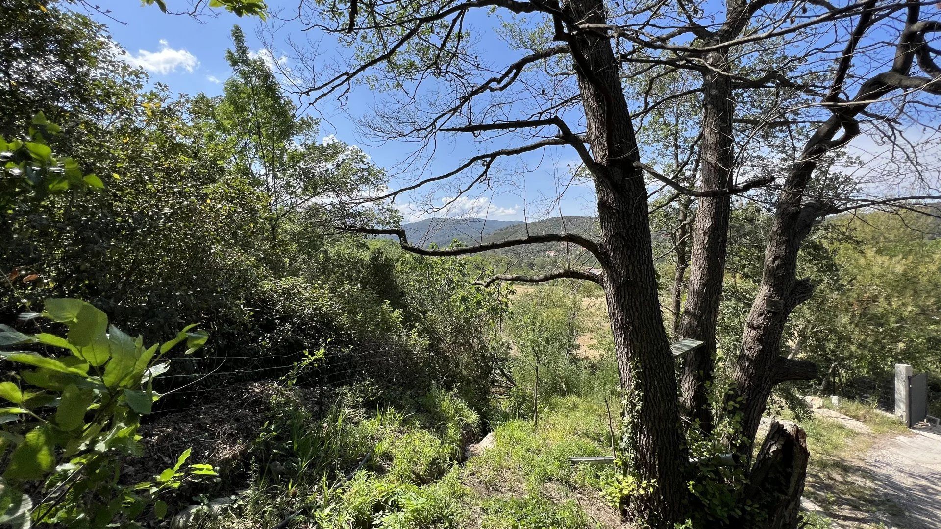 casa no Céret, Pyrénées-Orientales 11804360