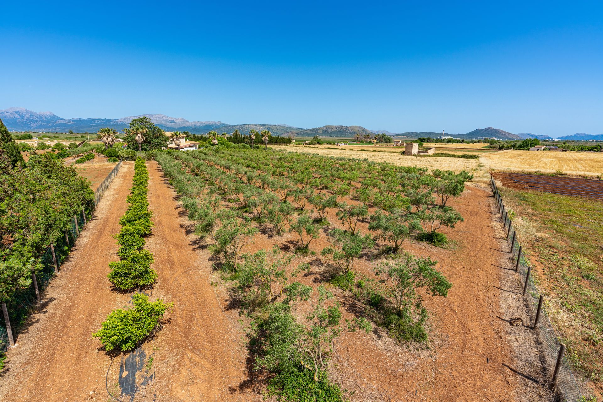 House in , Balearic Islands 11804540