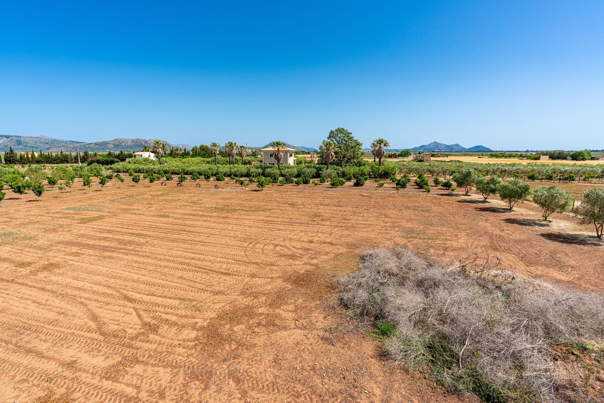 House in , Balearic Islands 11804540