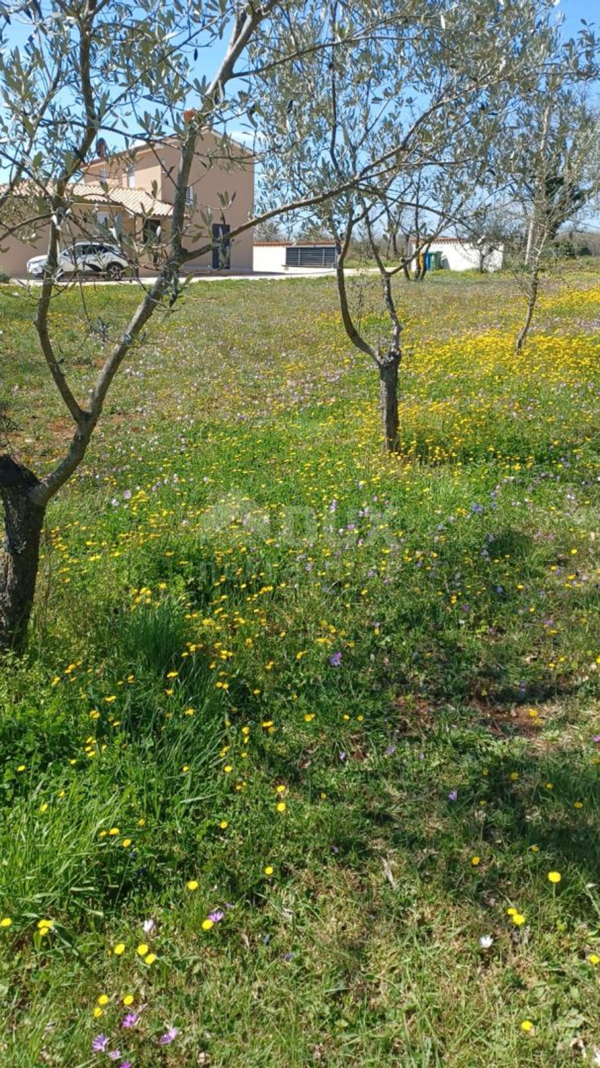 Terre dans Divšići, Istarska županija 11804610