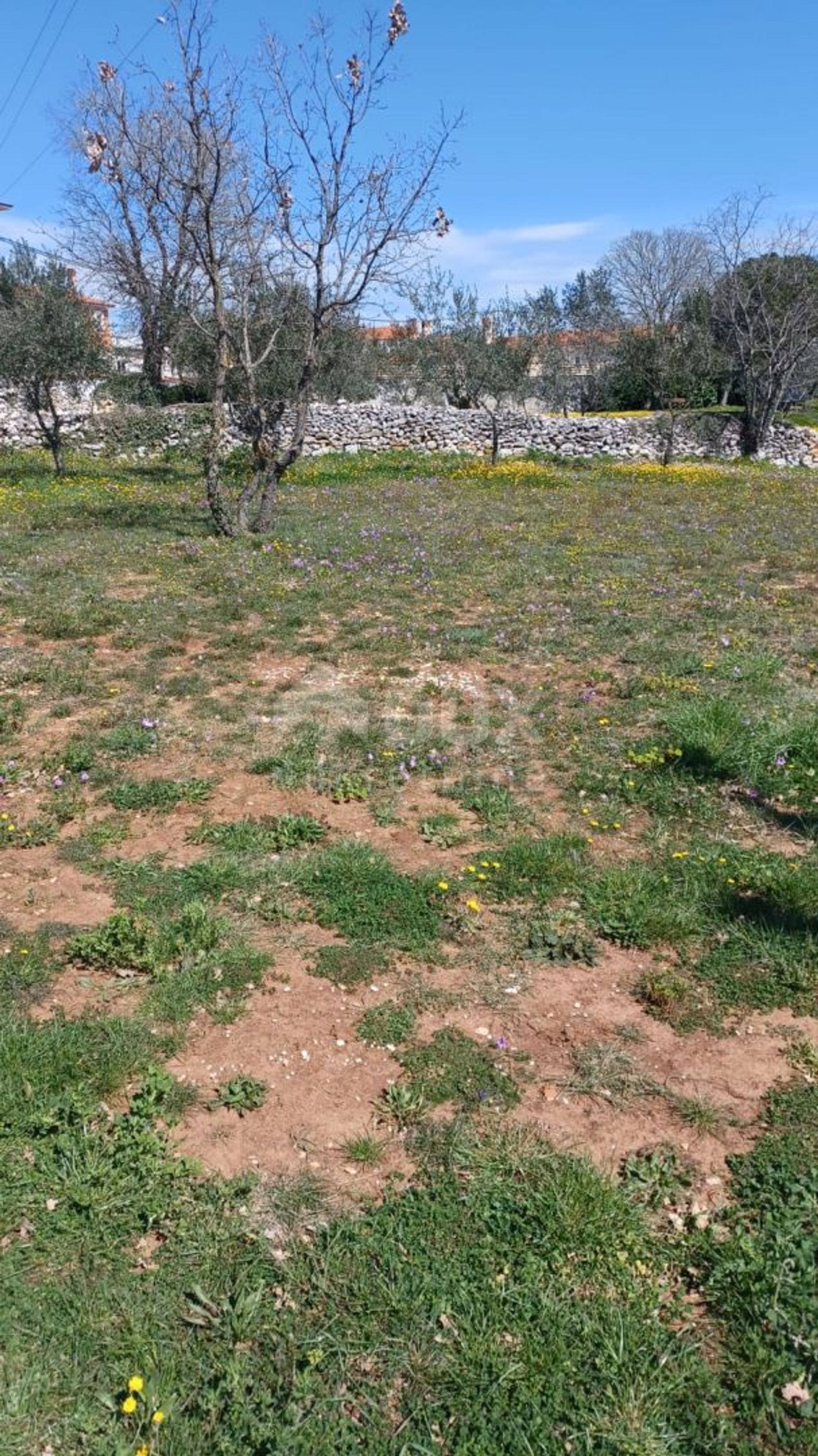 Land in Marcana, Istarska Zupanija 11804610