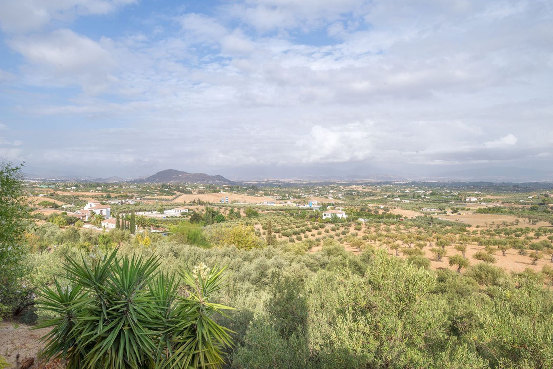 Hus i Alhaurín el Grande, Andalusia 11805897