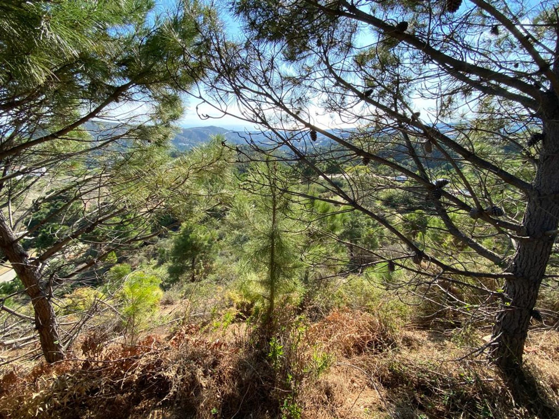 Tanah dalam Benahavís, Andalucía 11807148