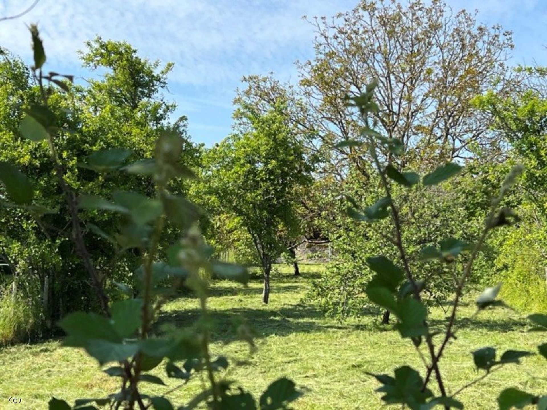 rumah dalam Nanteuil-en-Vallée, Nouvelle-Aquitaine 11810945