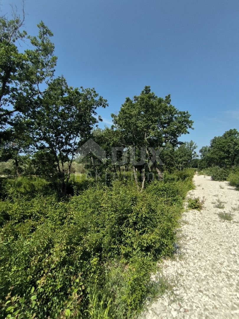 Tierra en Peroj, Istria County 11816125