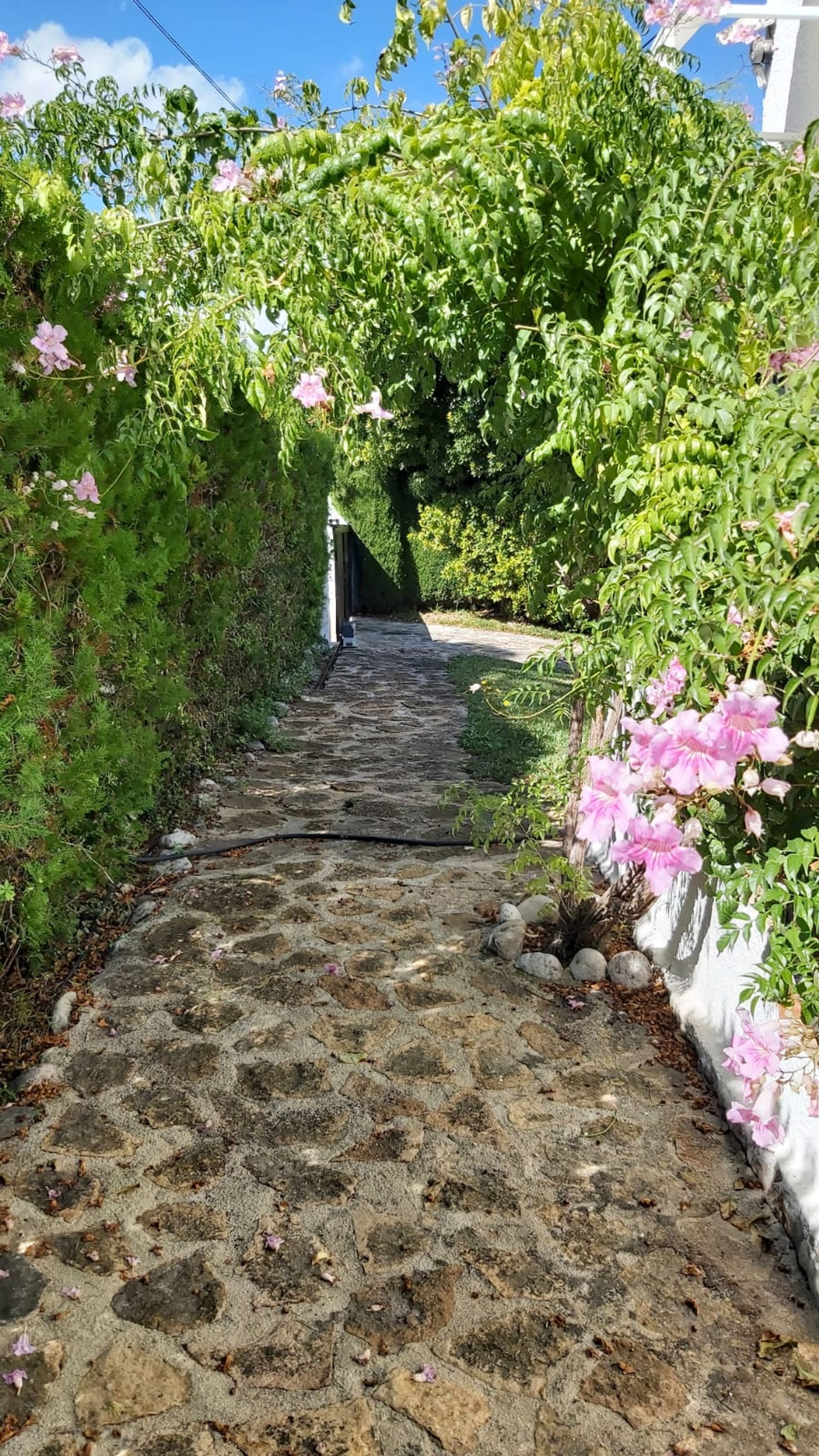 casa en Jávea, Comunidad Valenciana 11816677