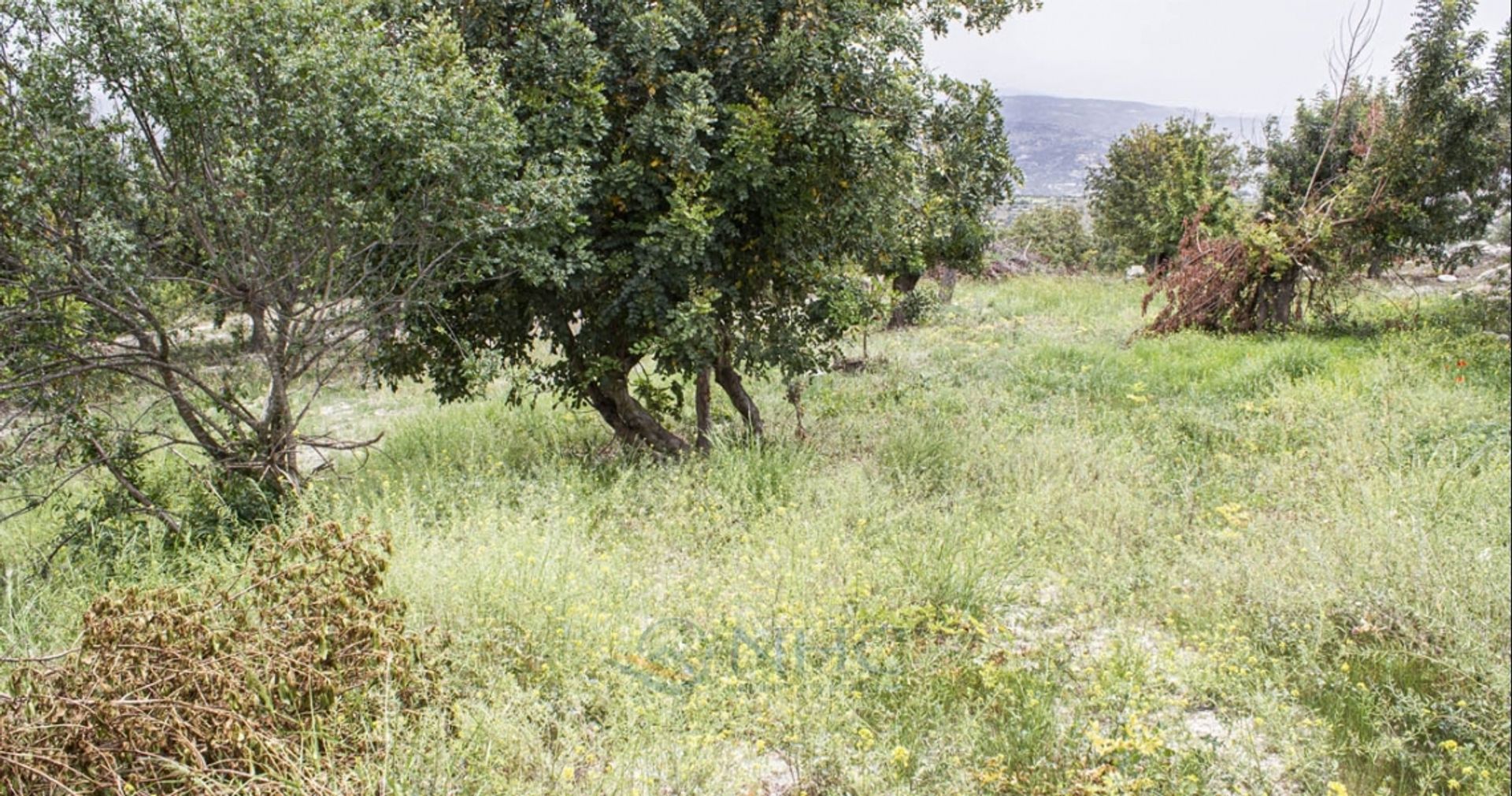 casa en Mesa Chorio, Pafos 11816704