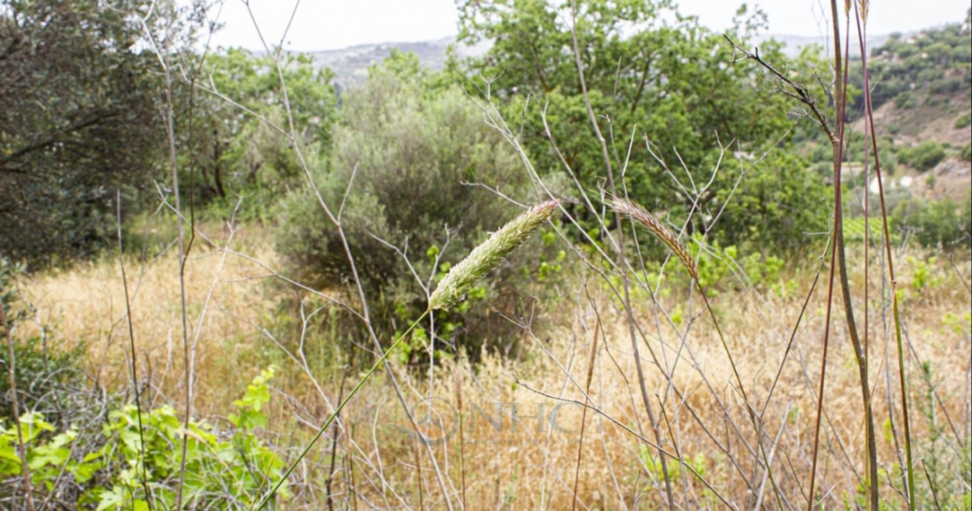 σπίτι σε Μεσόγη, Πάφος 11816708