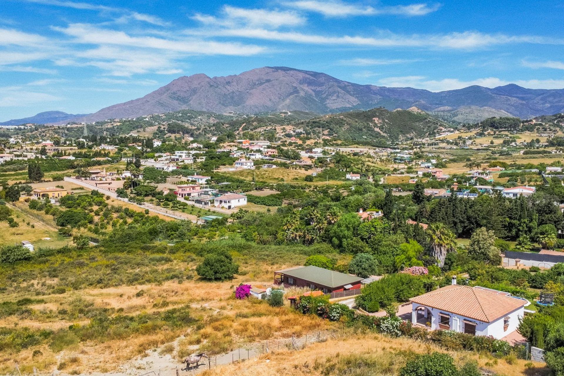 Land in Estepona, Andalucía 11817459