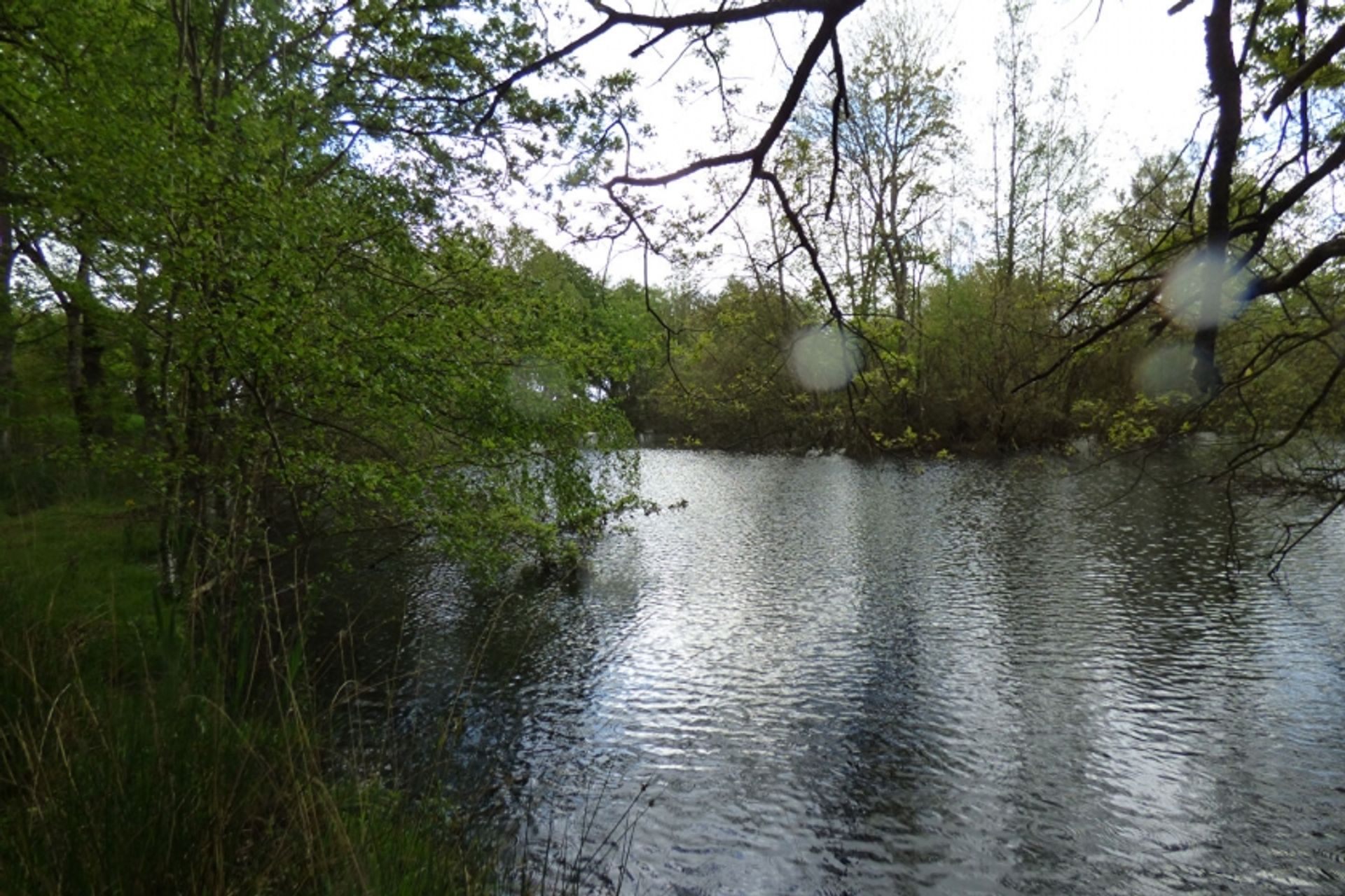 Land in Malestroit, Bretagne 11819622