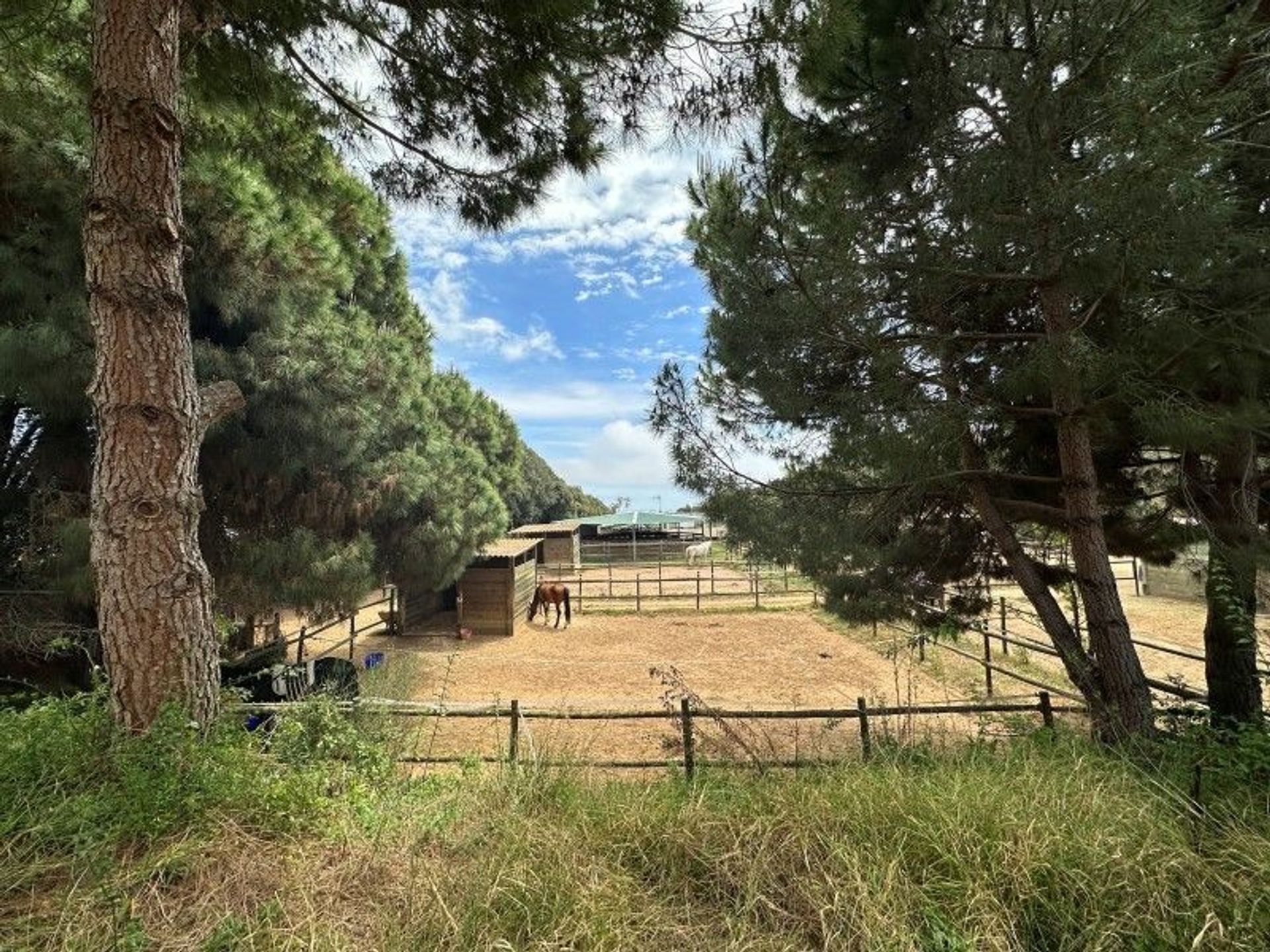 casa en Mataró, Catalonia 11820179