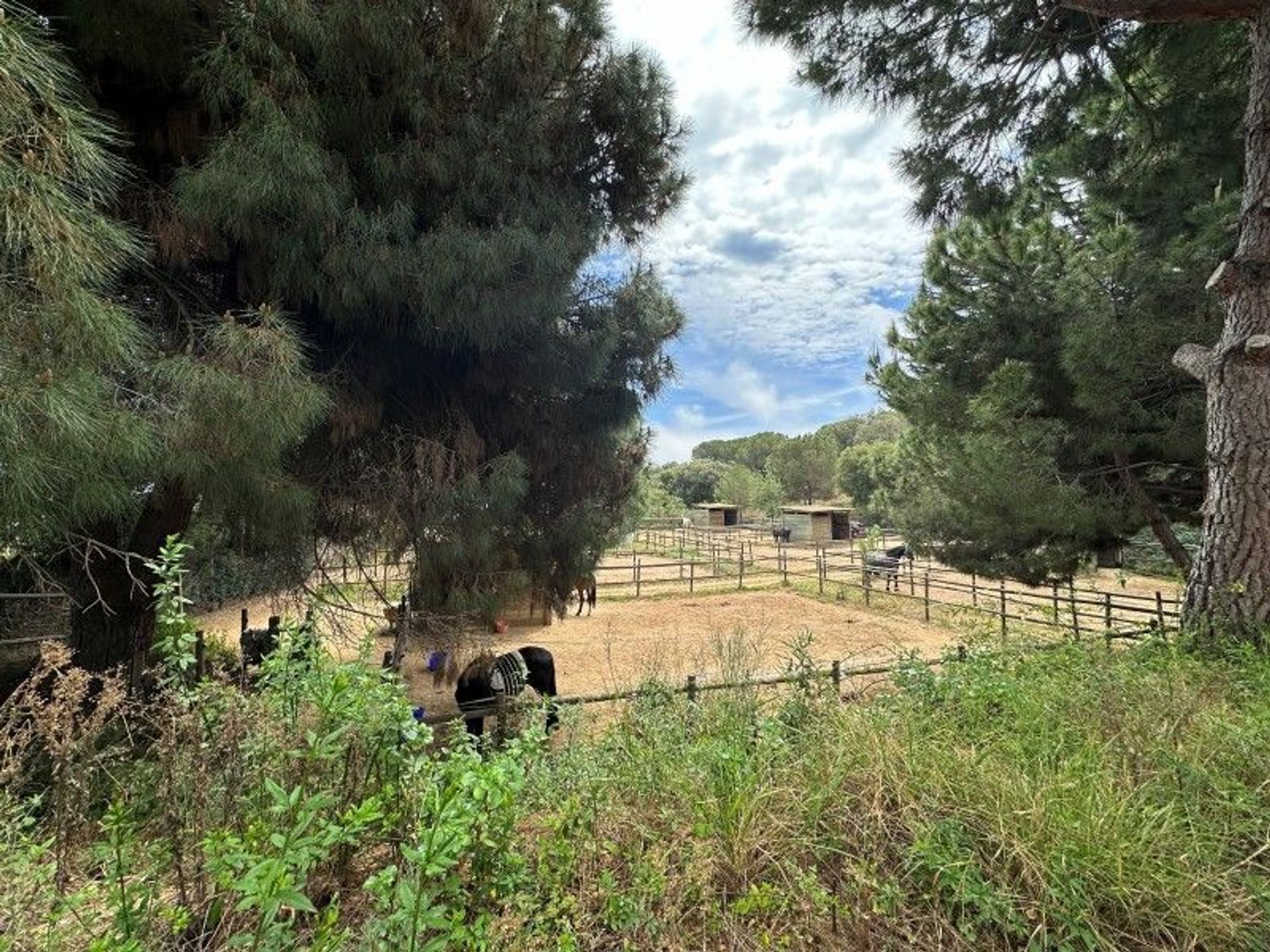 casa en Mataró, Catalonia 11820179