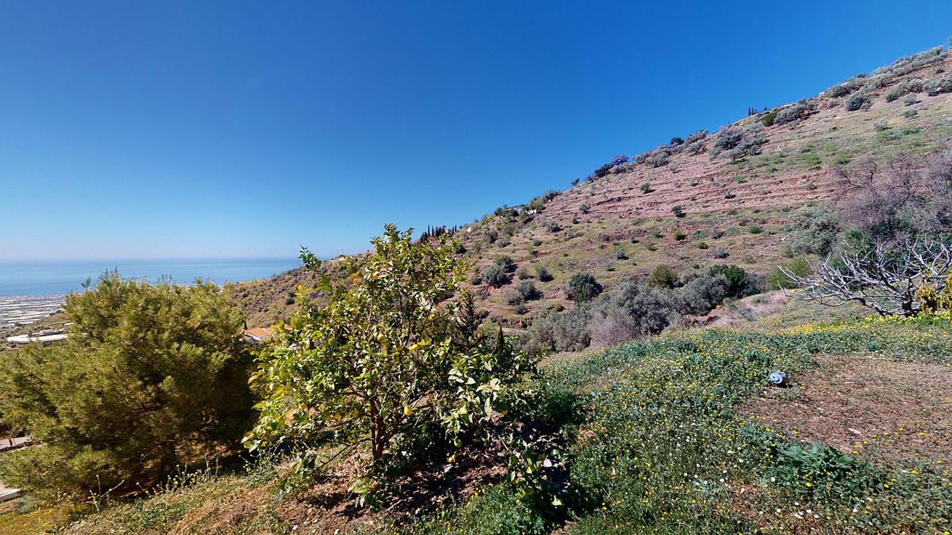 Rumah di Algarrobo, Andalucía 11821440