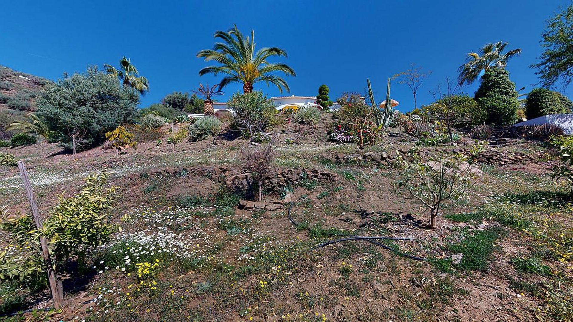 Rumah di Algarrobo, Andalucía 11821440