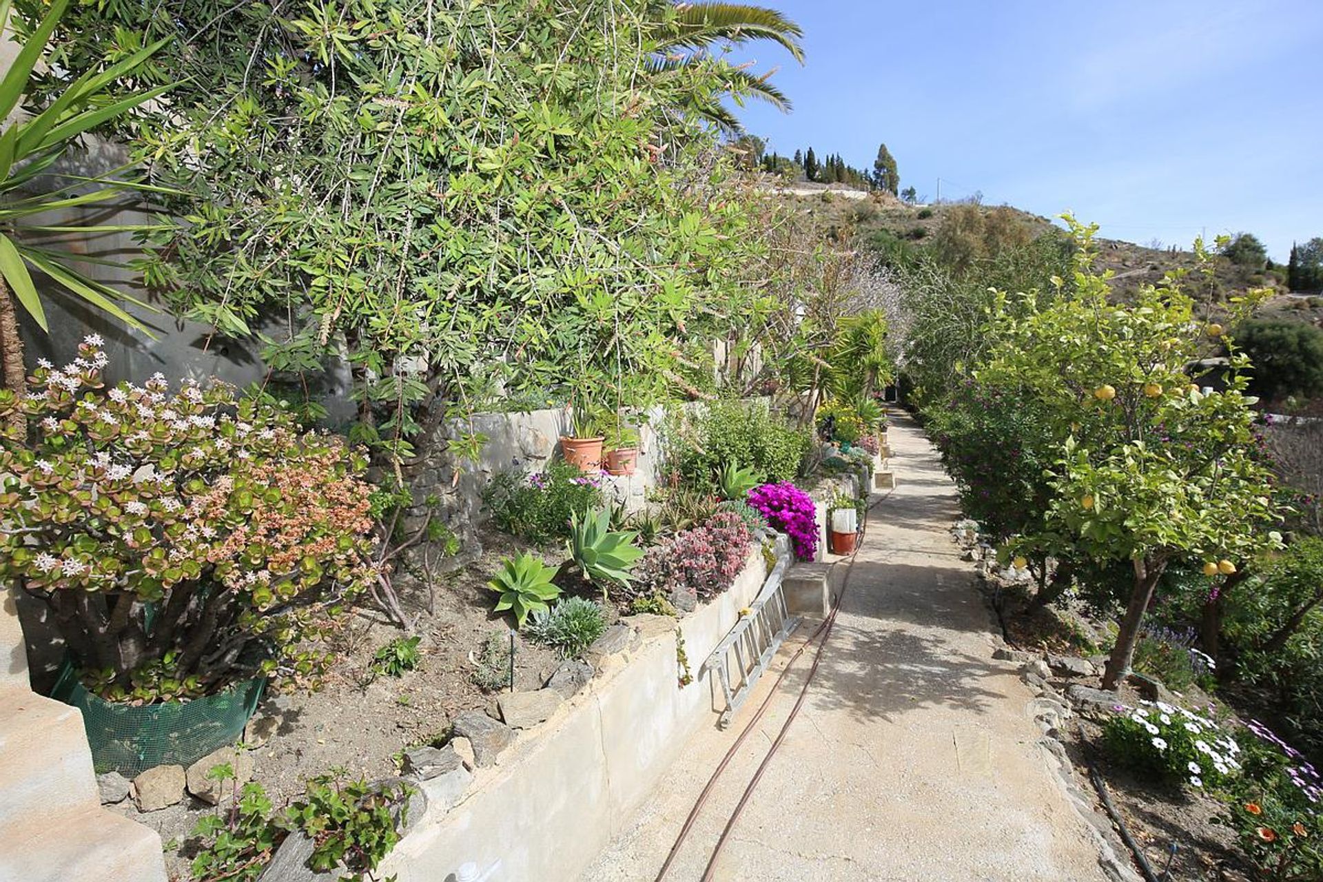 Rumah di Algarrobo, Andalucía 11821447