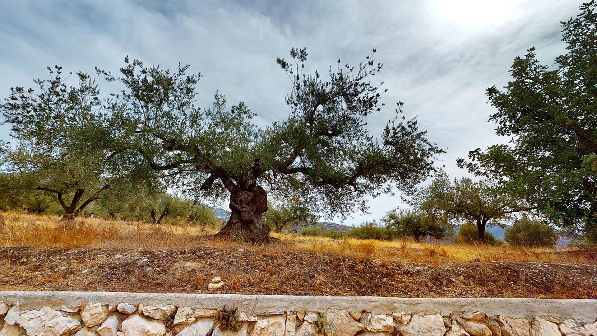 Hus i Vinuela, Andalusia 11821726