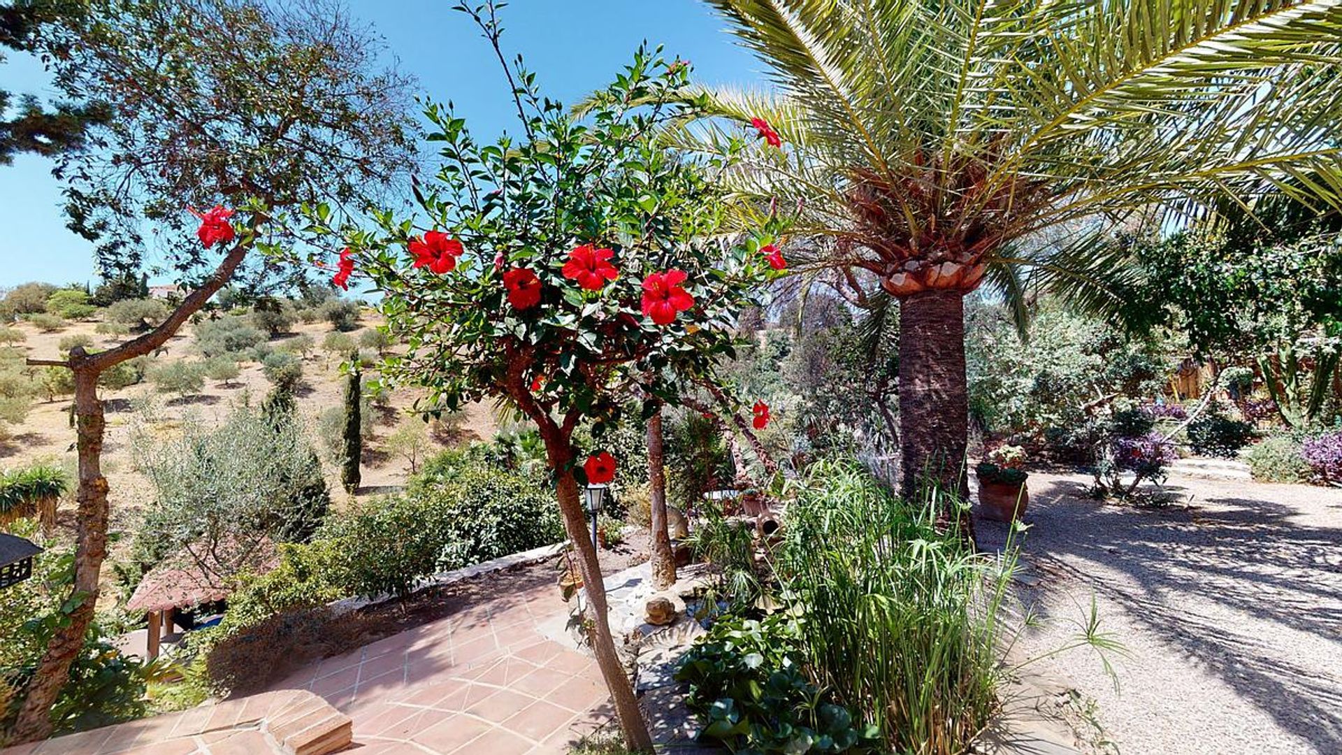 Huis in Benajarafe, Andalucía 11822605