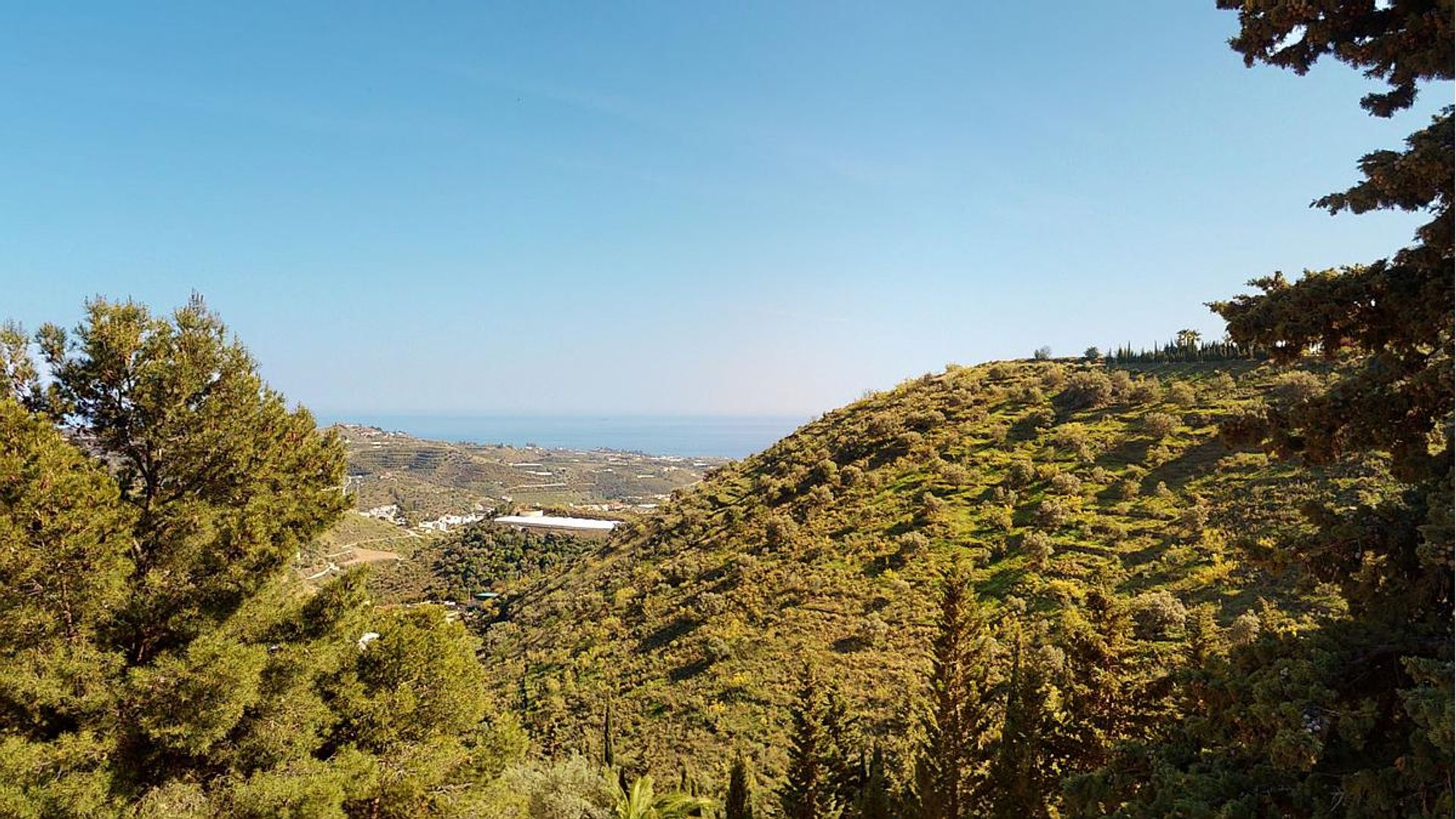 Rumah di Algarrobo, Andalucía 11822625