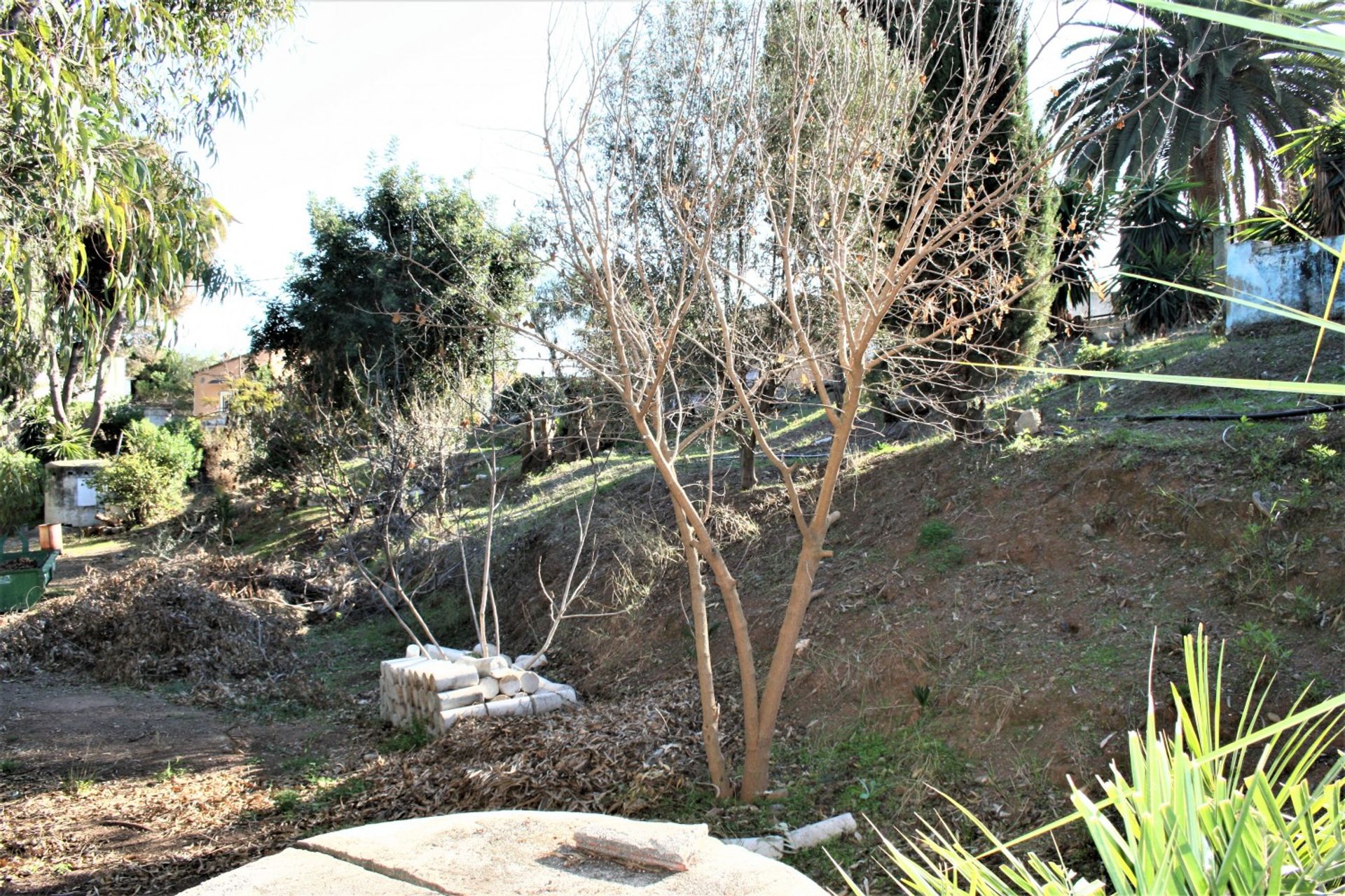 Huis in Benajarafe, Andalucía 11822631