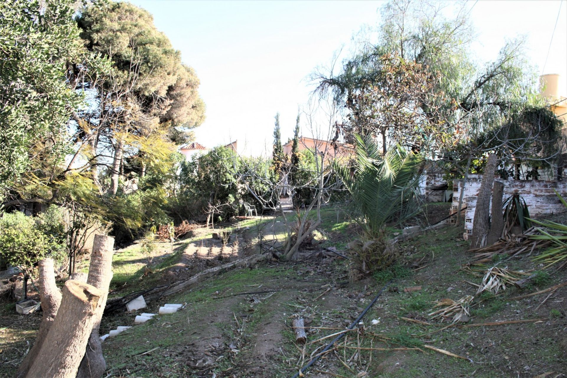 Huis in Benajarafe, Andalucía 11822631