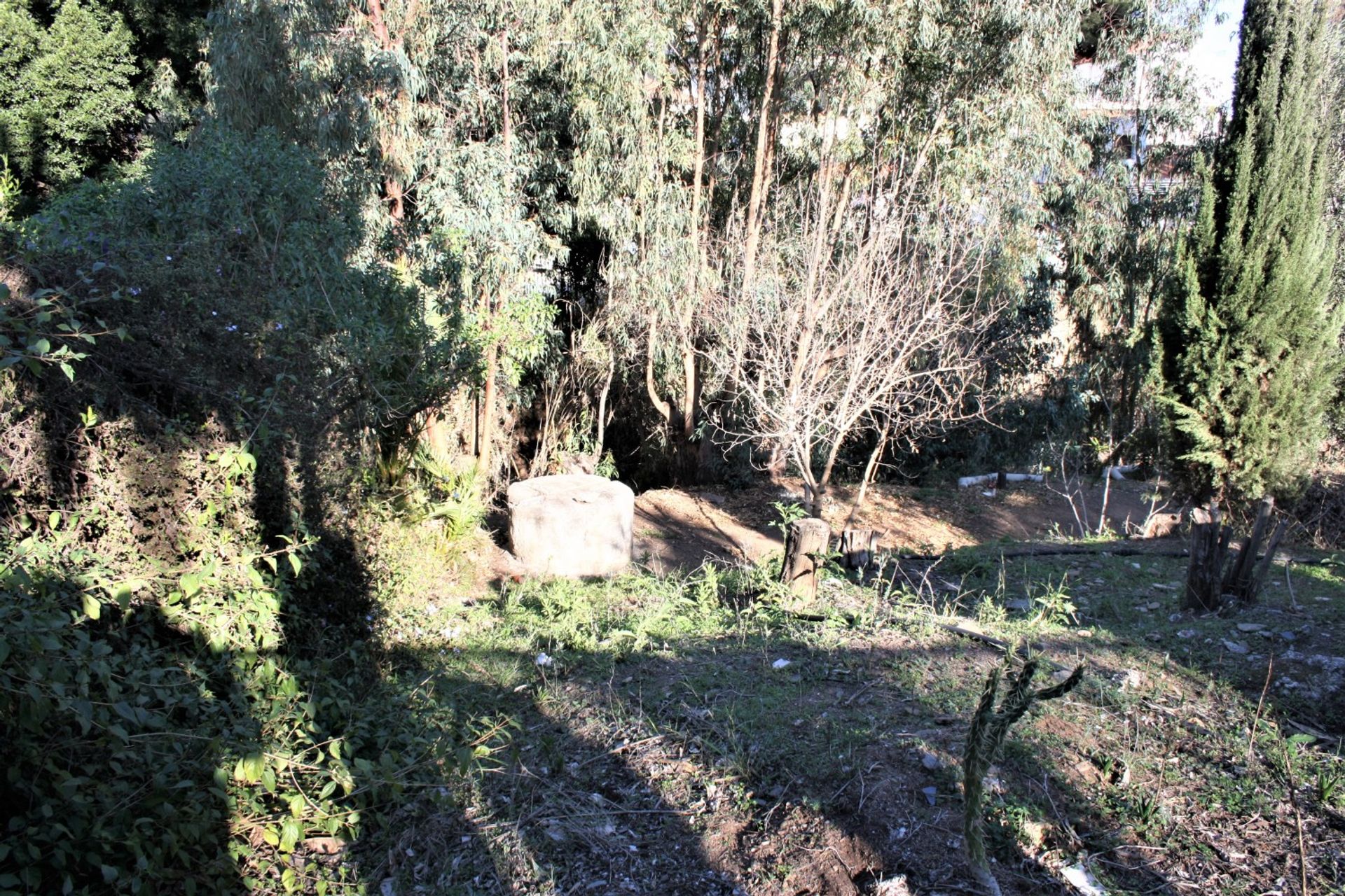 Huis in Benajarafe, Andalucía 11822631