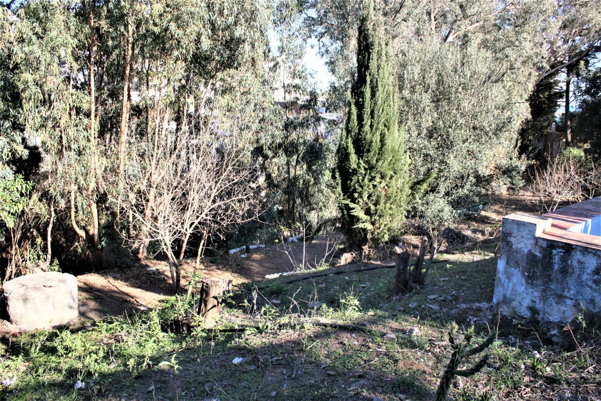 Huis in Benajarafe, Andalucía 11822631