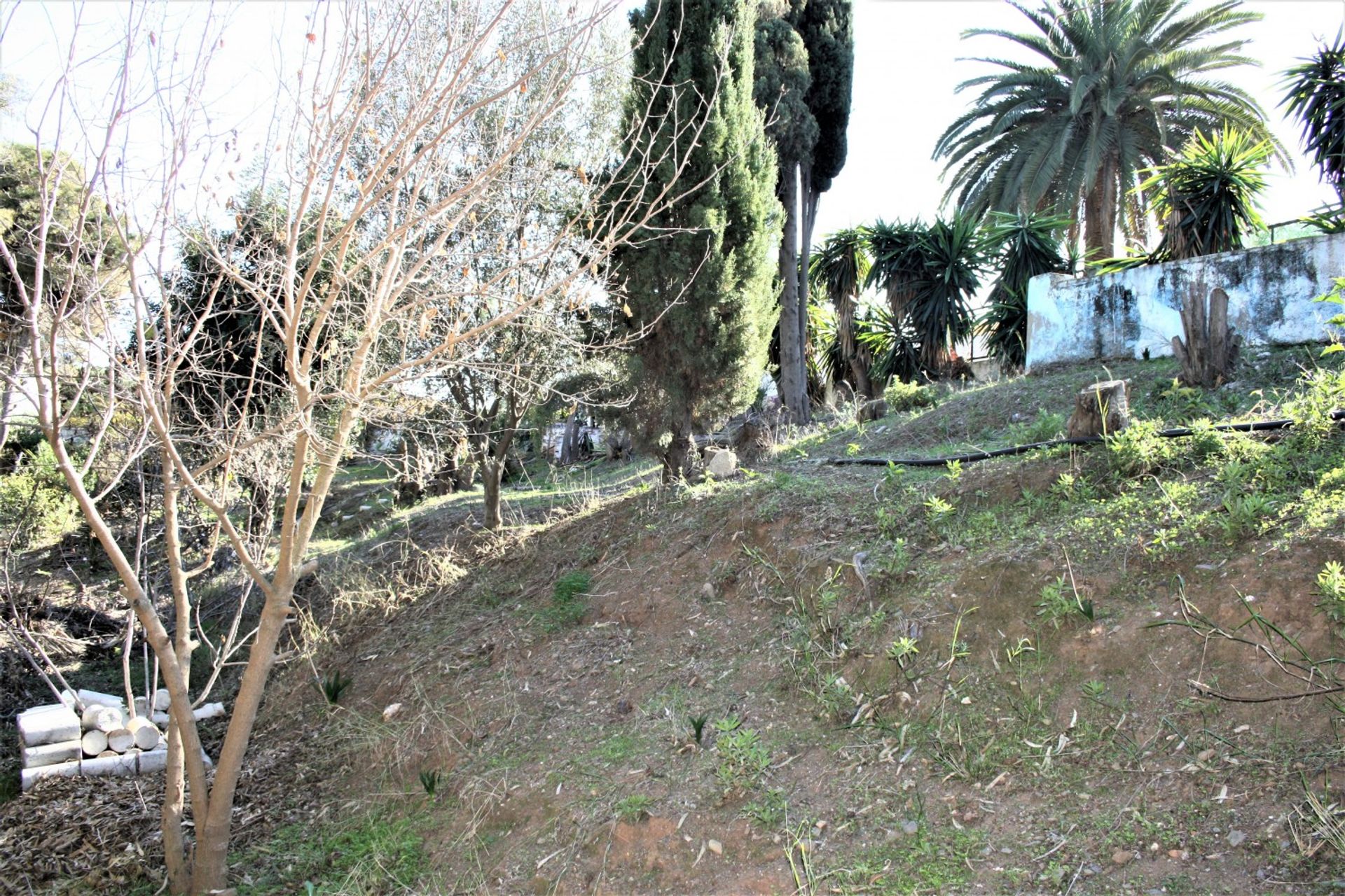 Huis in Benajarafe, Andalucía 11822631