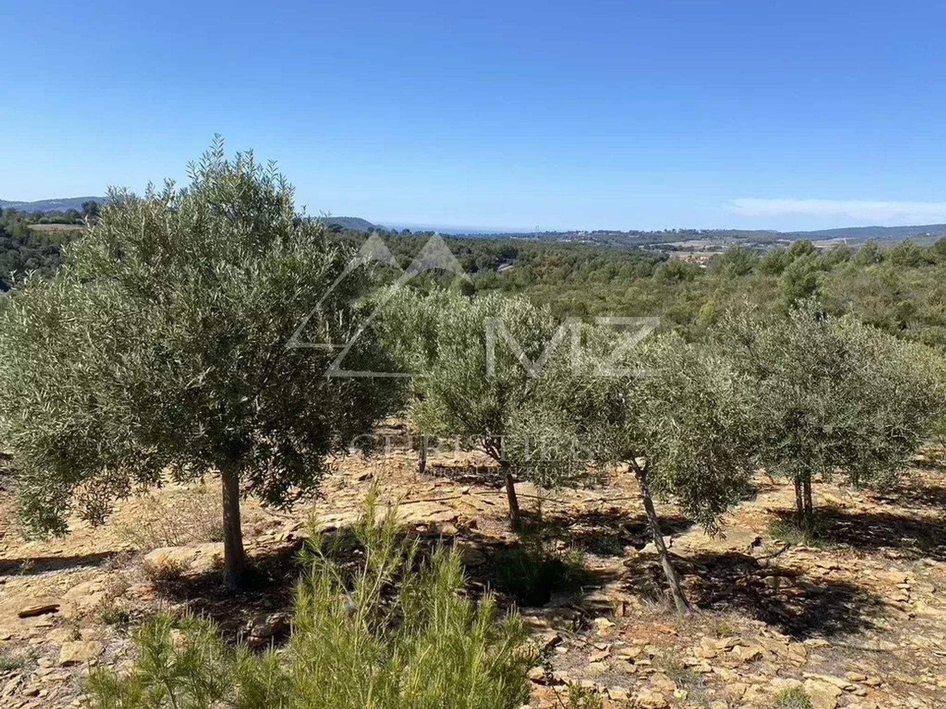 Andere im Bandol, Provence-Alpes-Côte d'Azur 11822712