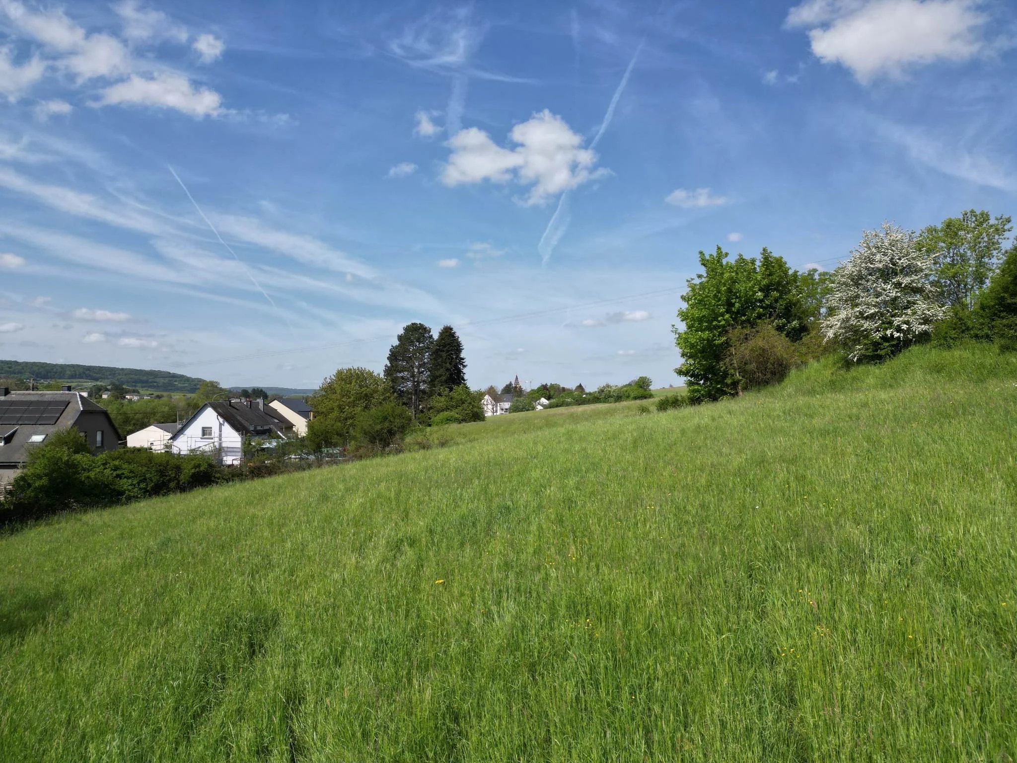 Land in Musson, Luxembourg 11822747
