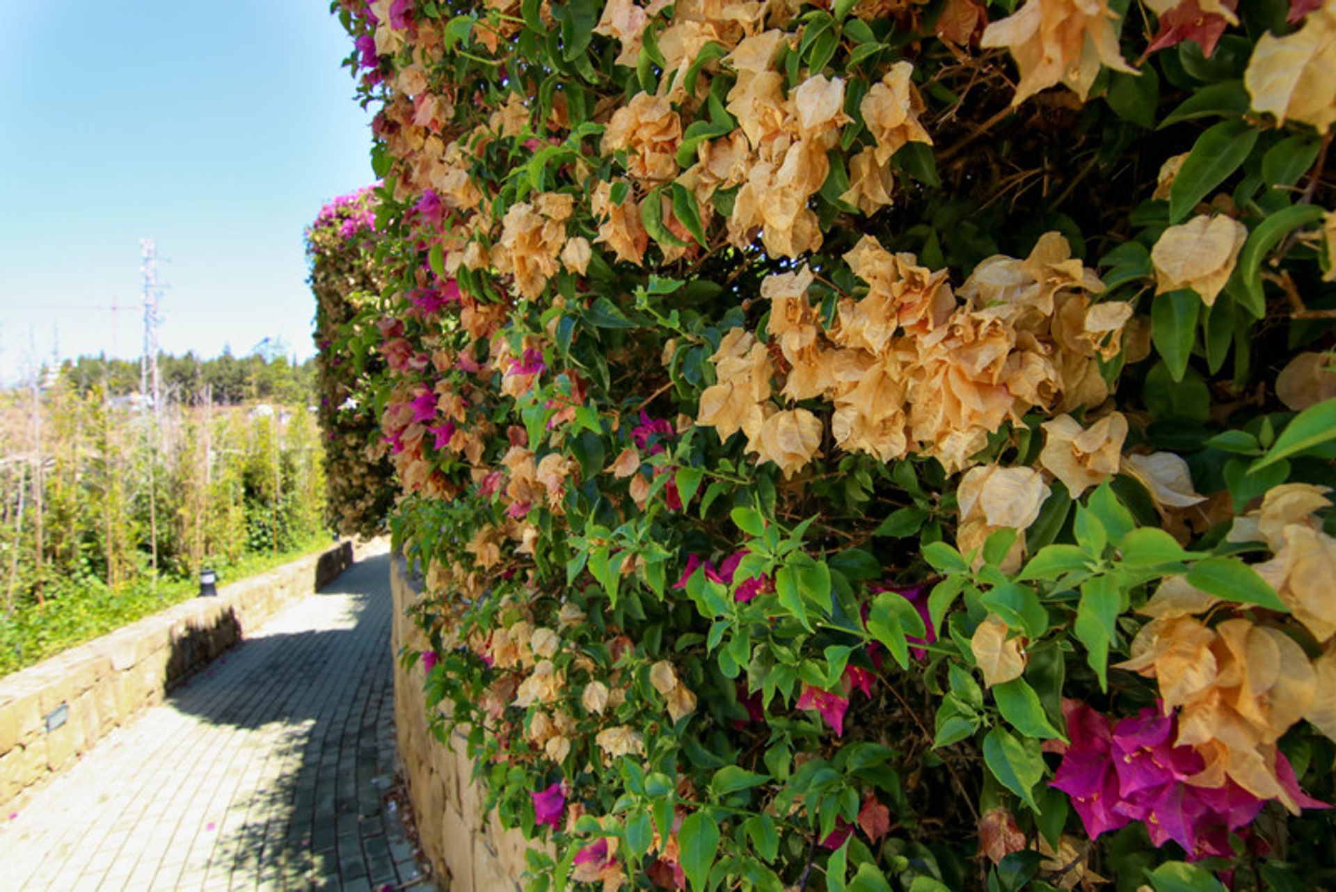 Eigentumswohnung im Las Lagunas, Andalusia 11823998