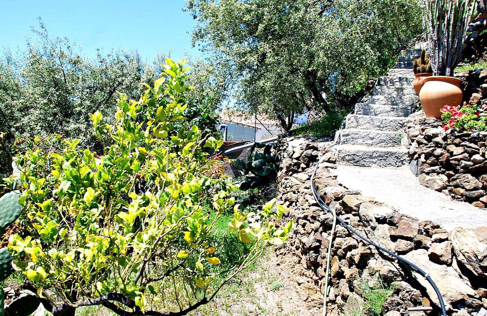 rumah dalam Algarrobo, Andalucía 11824026