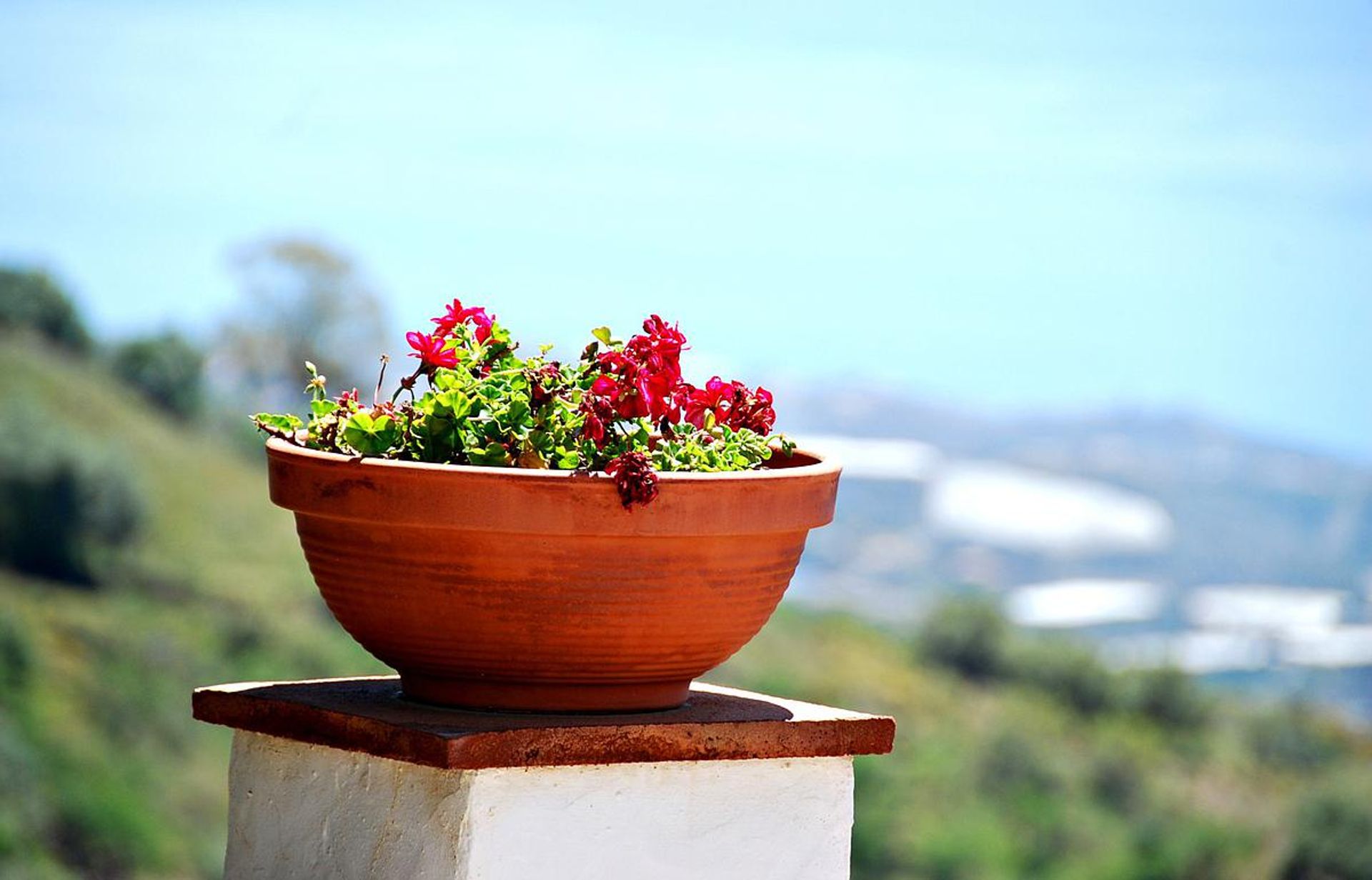 rumah dalam Algarrobo, Andalucía 11824026