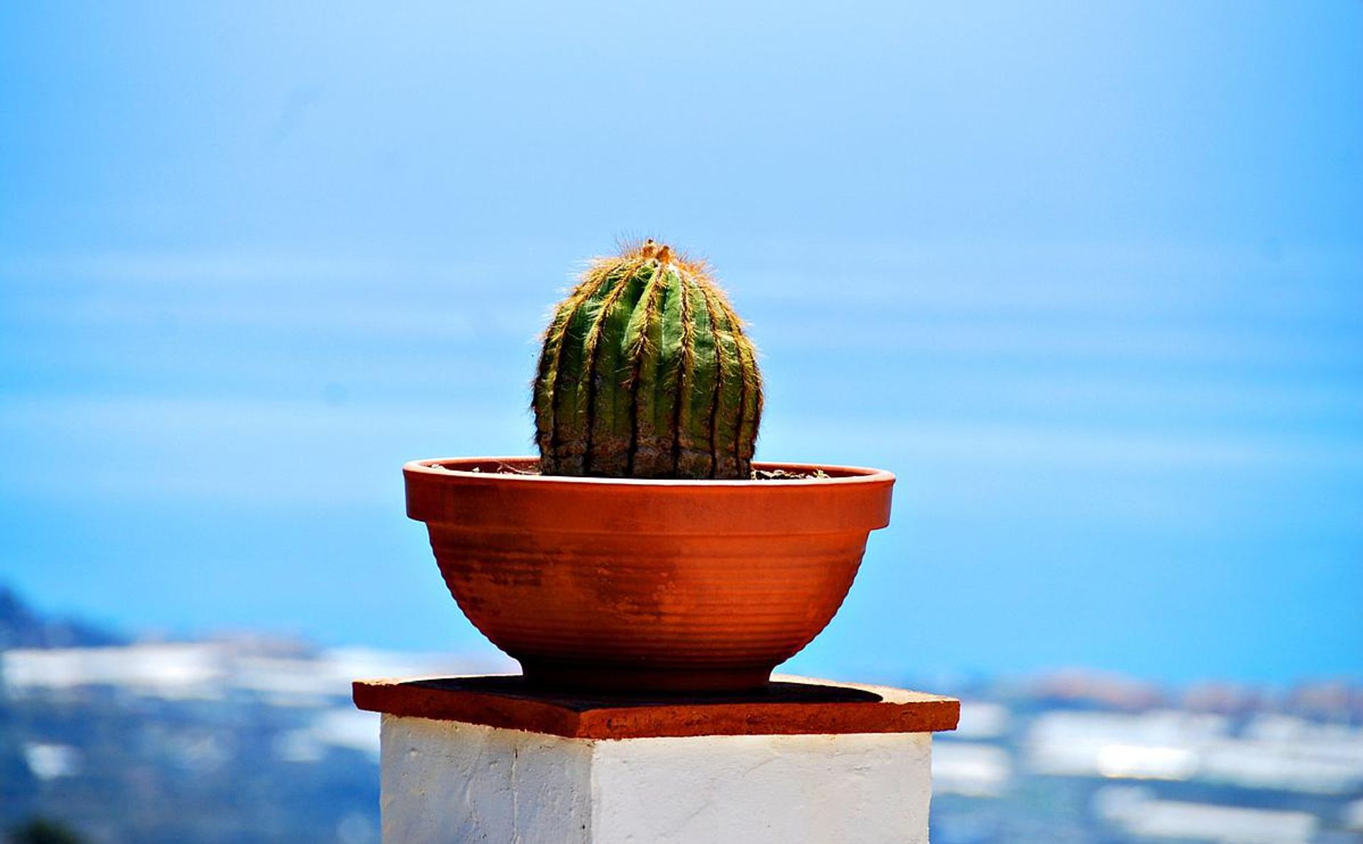 rumah dalam Algarrobo, Andalucía 11824026