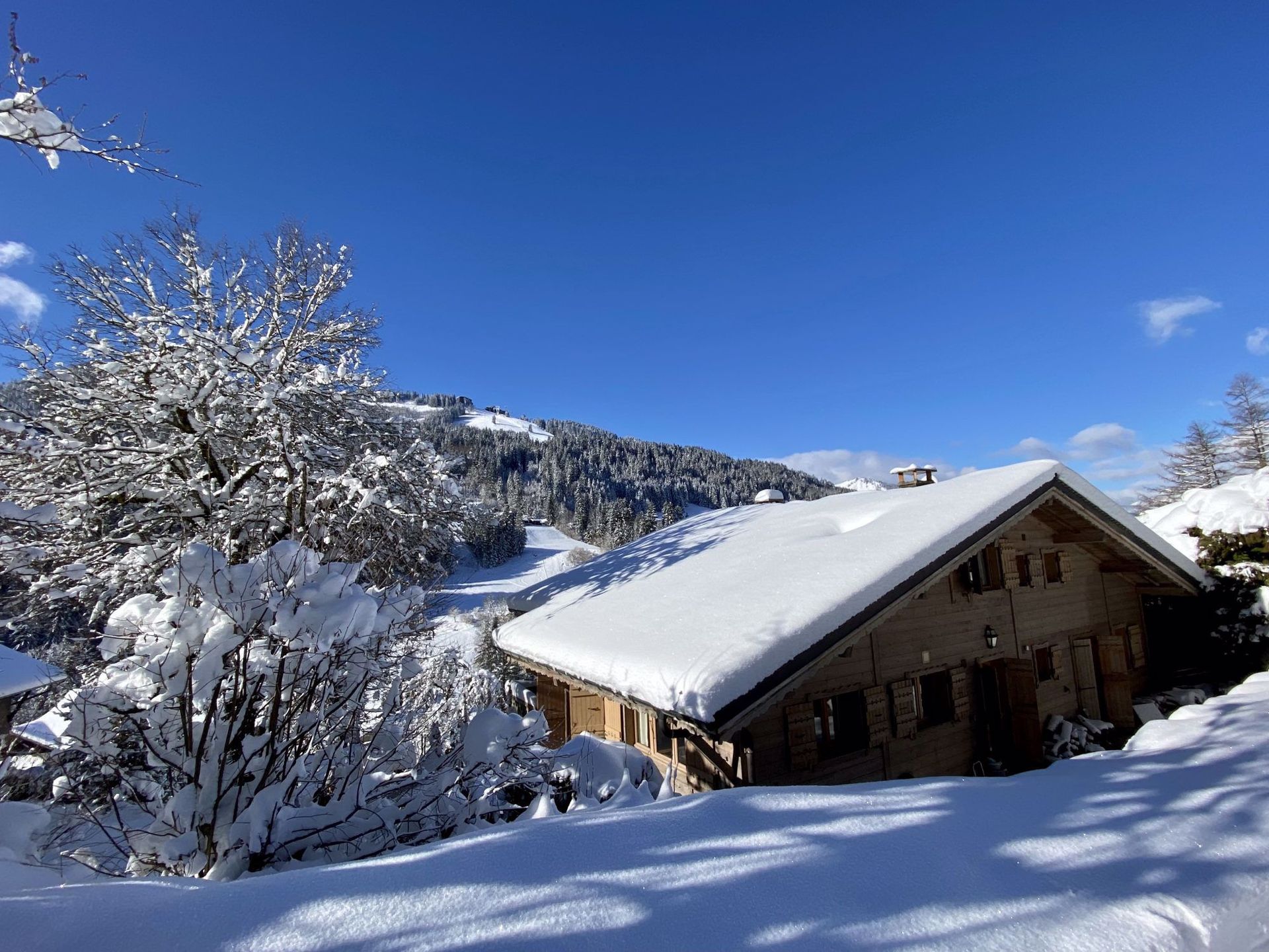 집 에 Morzine, Auvergne-Rhône-Alpes 11825083