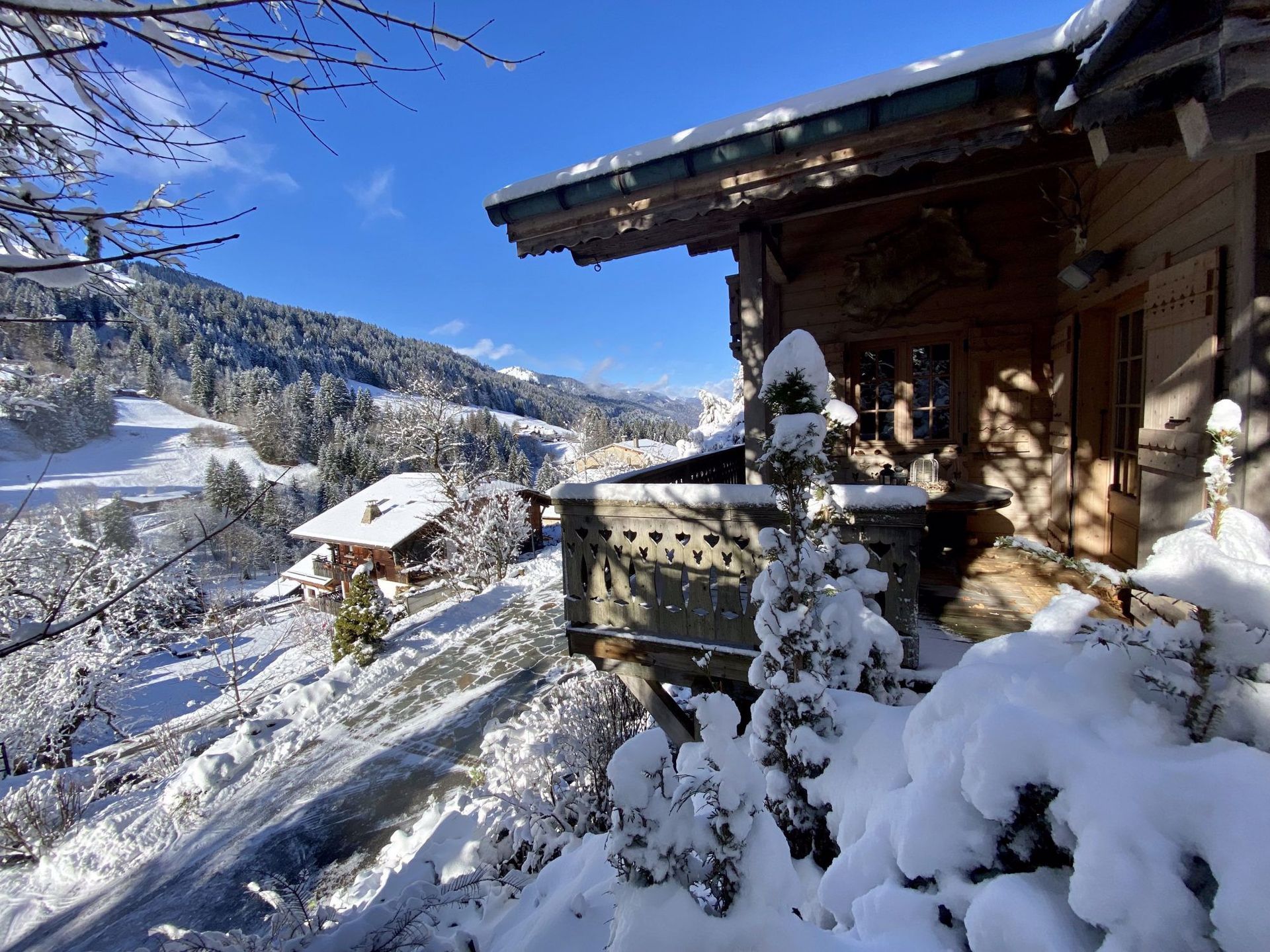 집 에 Morzine, Auvergne-Rhône-Alpes 11825083