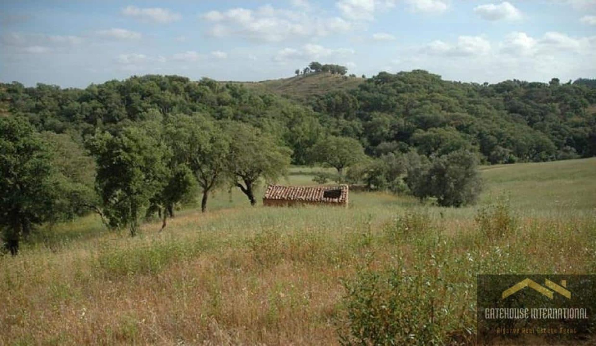 Terre dans Odemira, Beja District 11825290