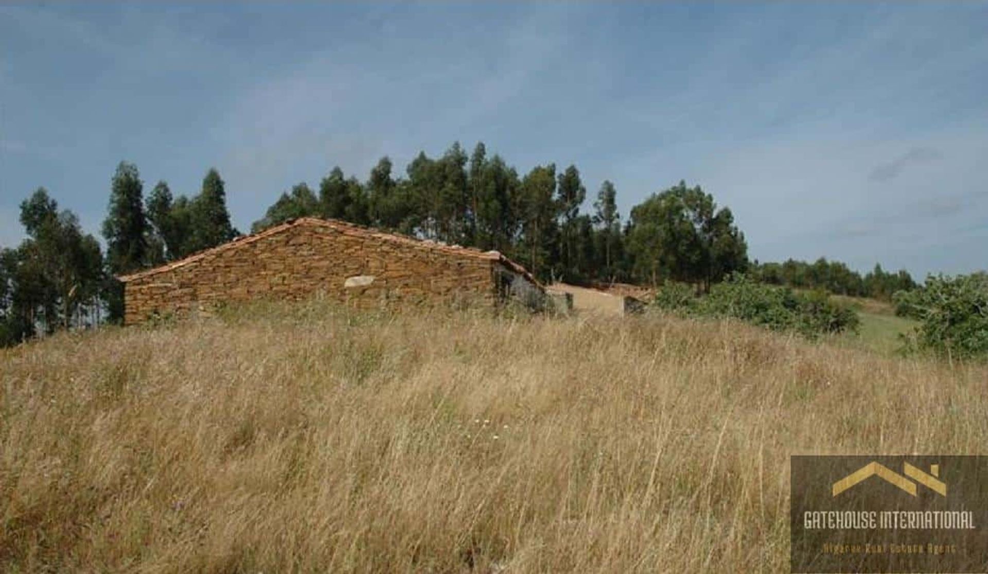 Terre dans Odemira, Beja District 11825290