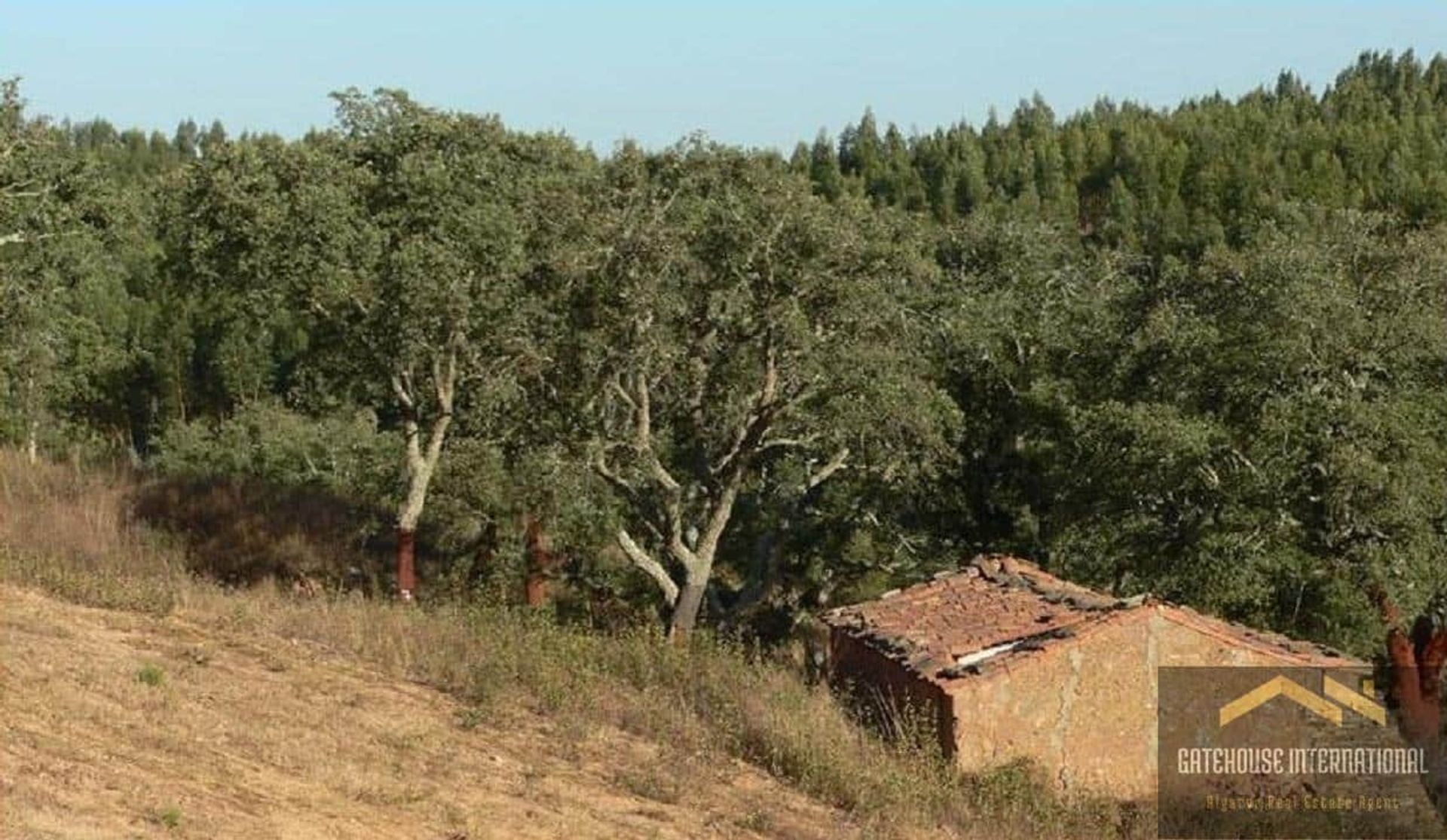 Terre dans Odemira, Beja District 11825290