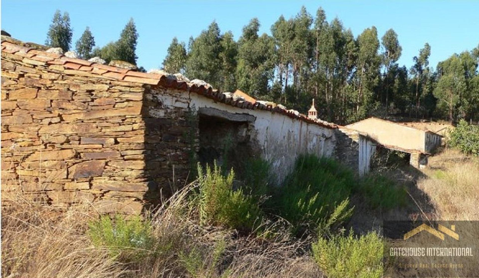 Terre dans Odemira, Beja District 11825290