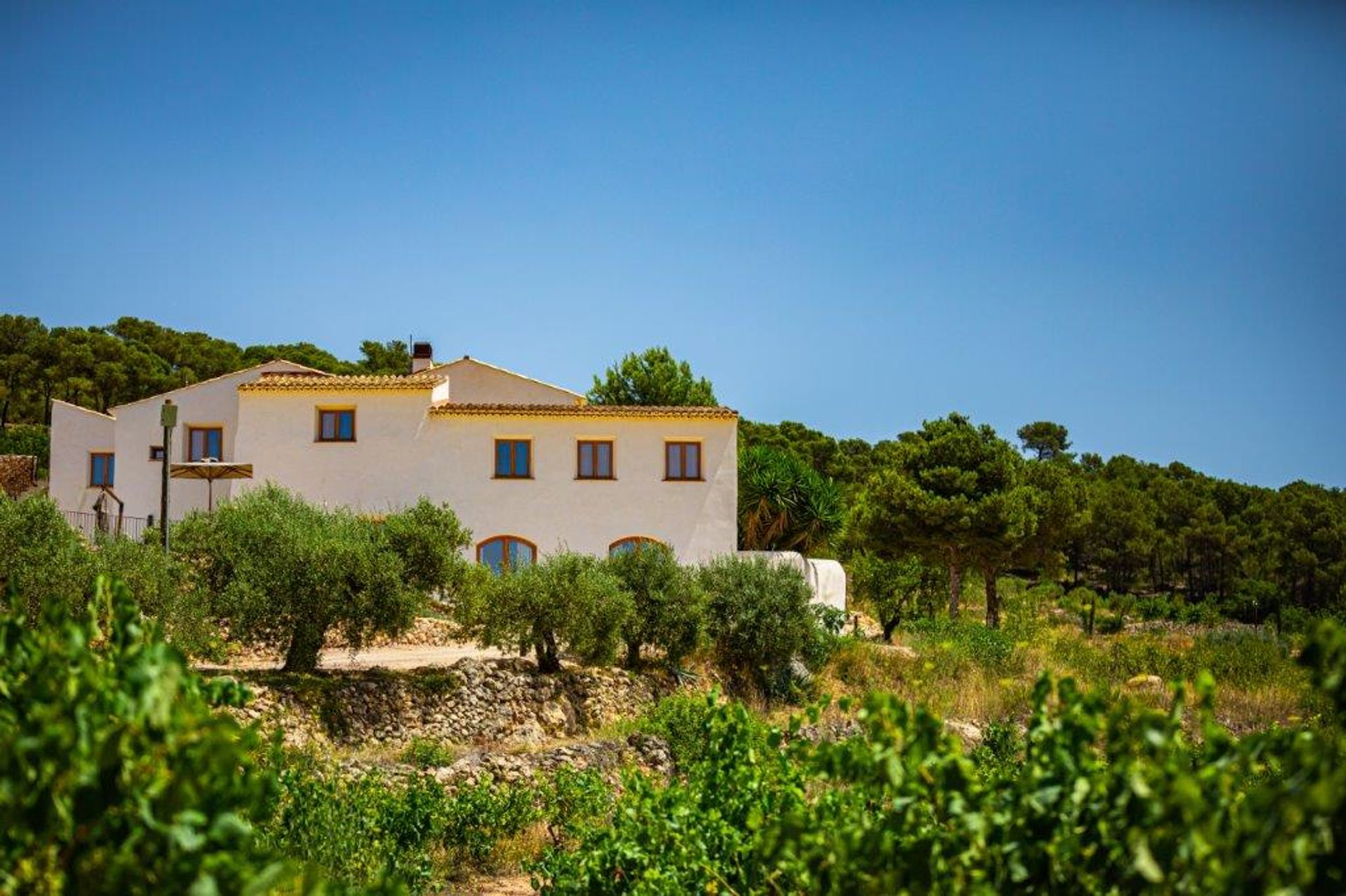 casa en Masllorens, Catalonia 11826232