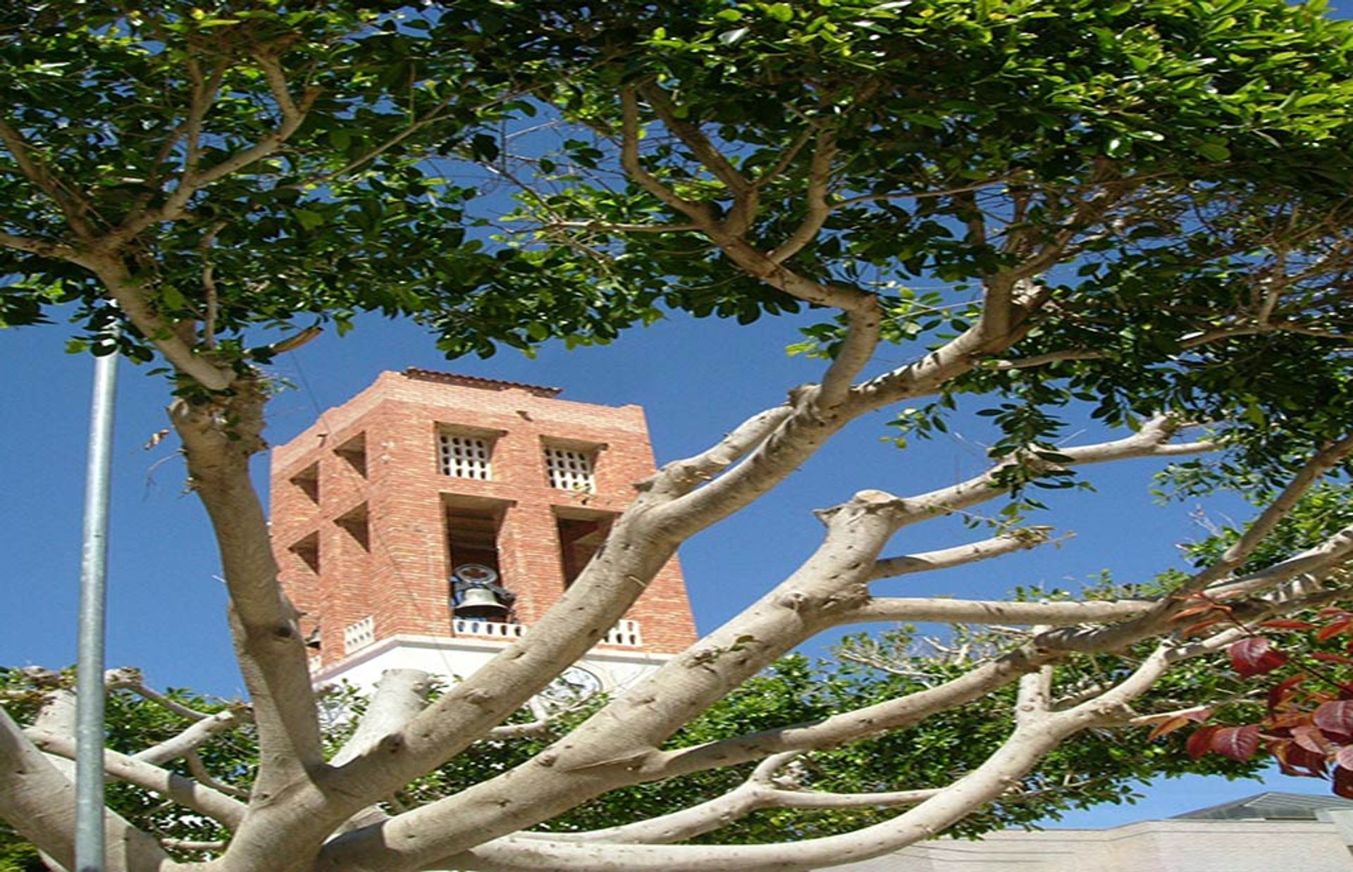 casa no Formentera del Segura, Valencian Community 11826248