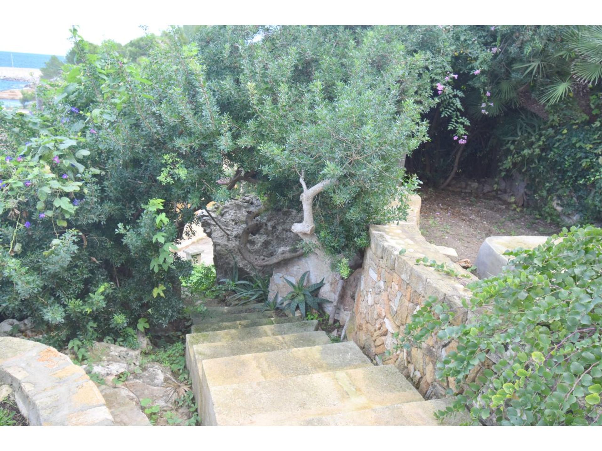 House in Mal Pas-Bon Aire, Illes Balears 11827996