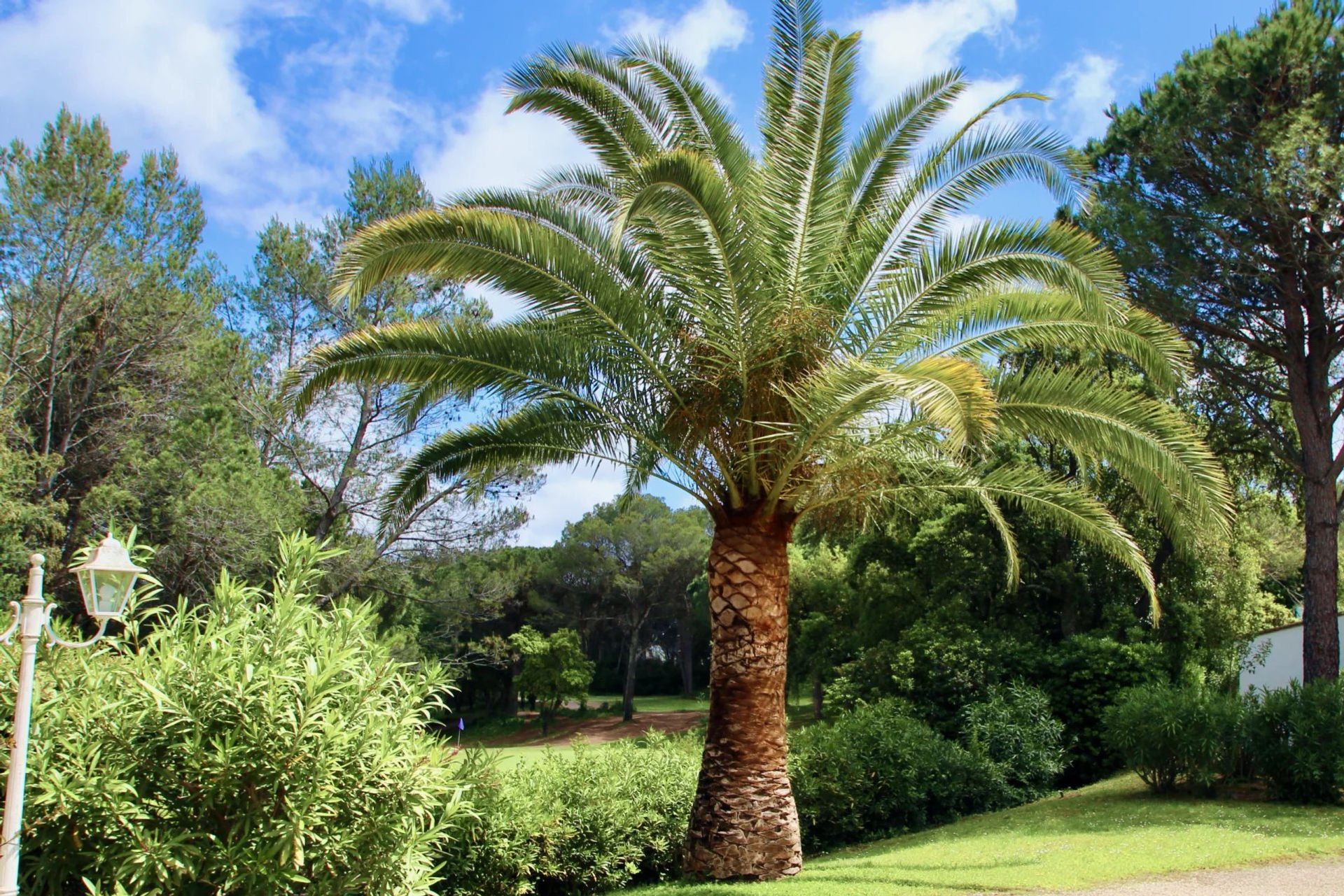 Borettslag i Saint-Raphaël, Var 11828075